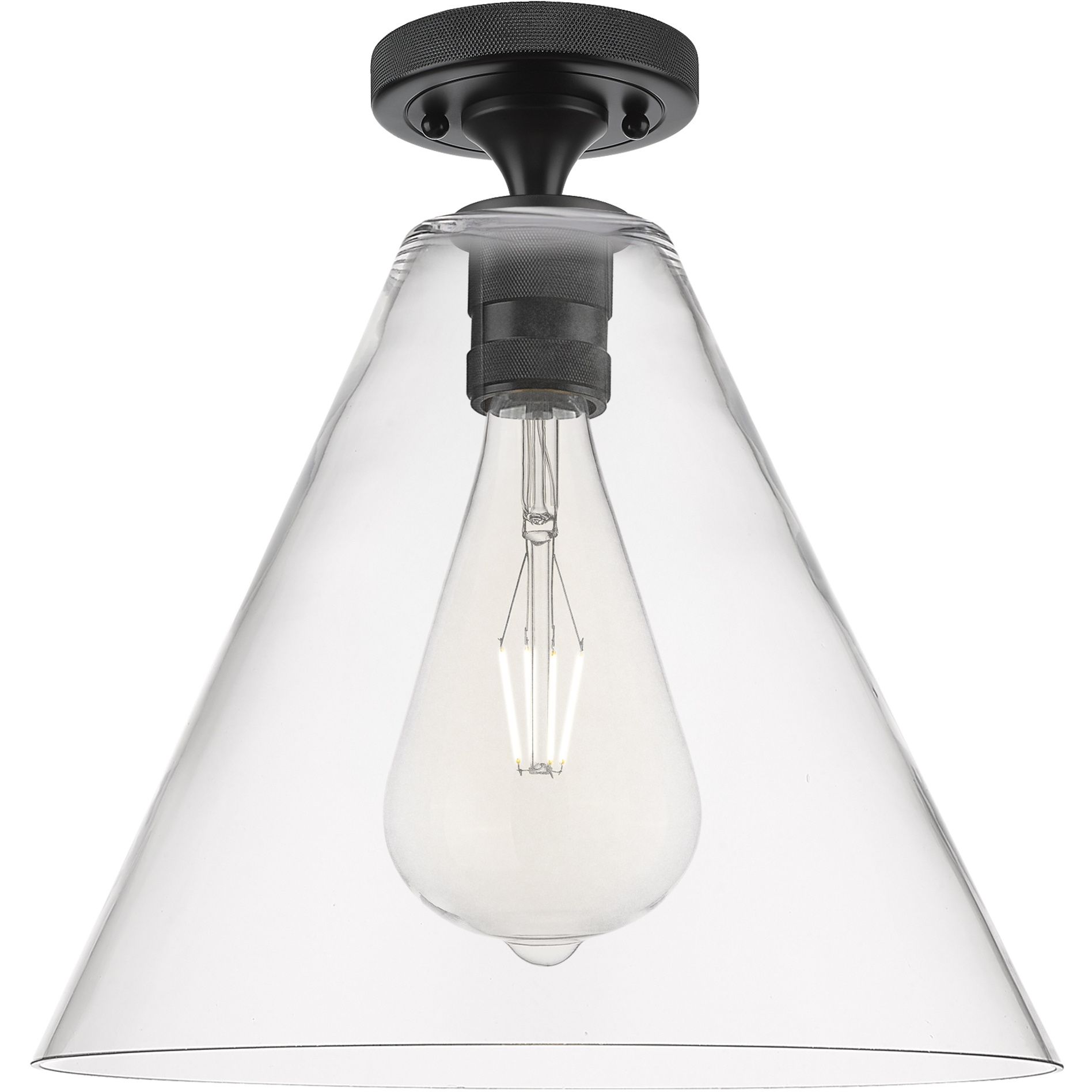 Crown Point 1 Light 12 inch Matte Black Flush Mount Ceiling Light in Clear Glass