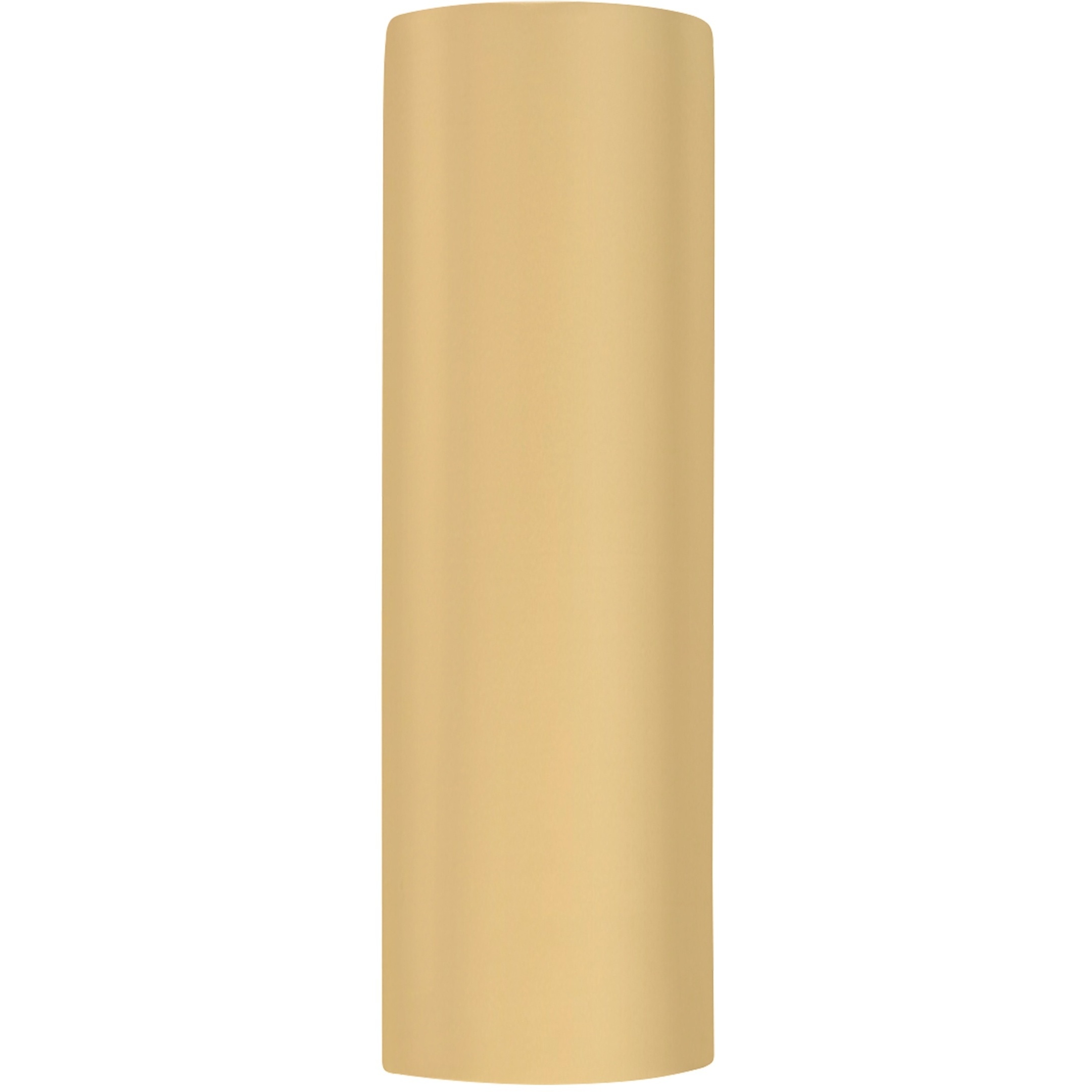 Ambiance Outdoor Wall Sconce