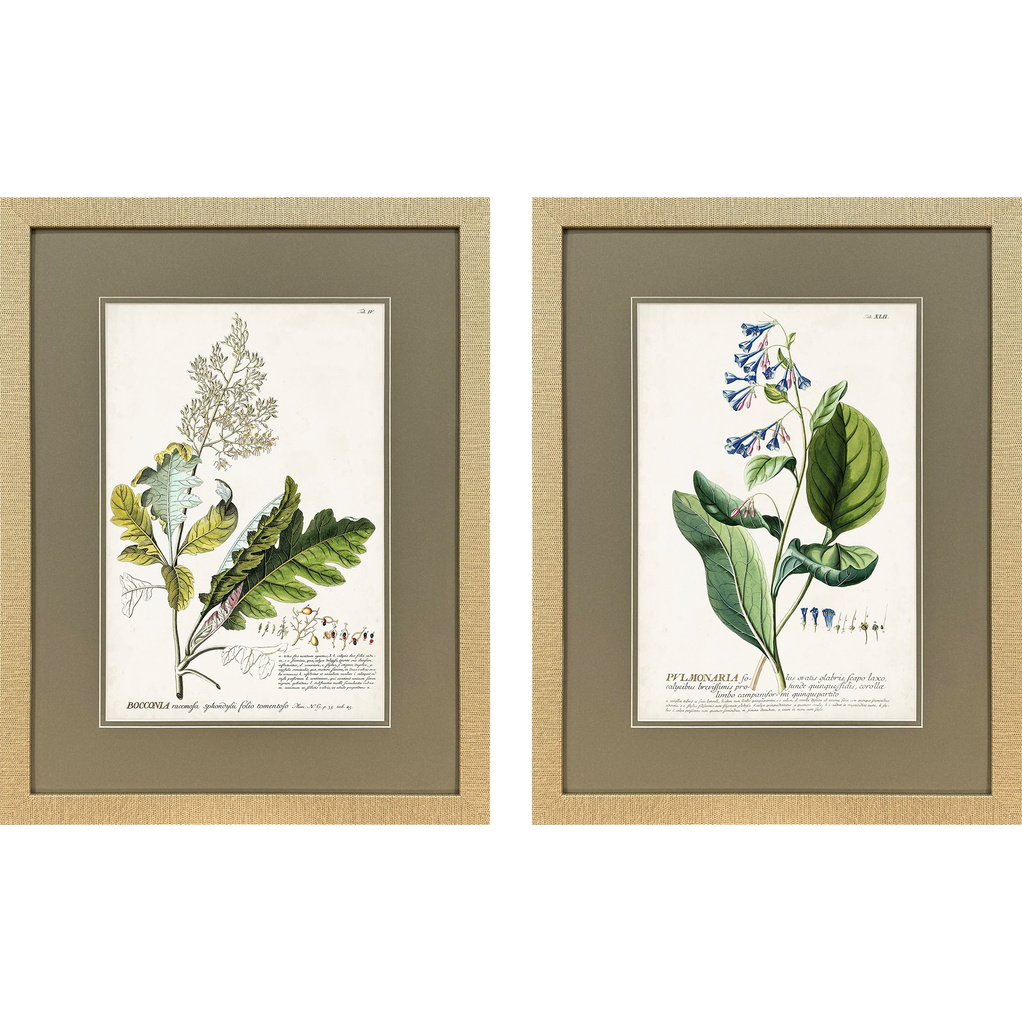 Alluring Botanical I Green and Multi and Yellow and Blue Framed Art, Propac