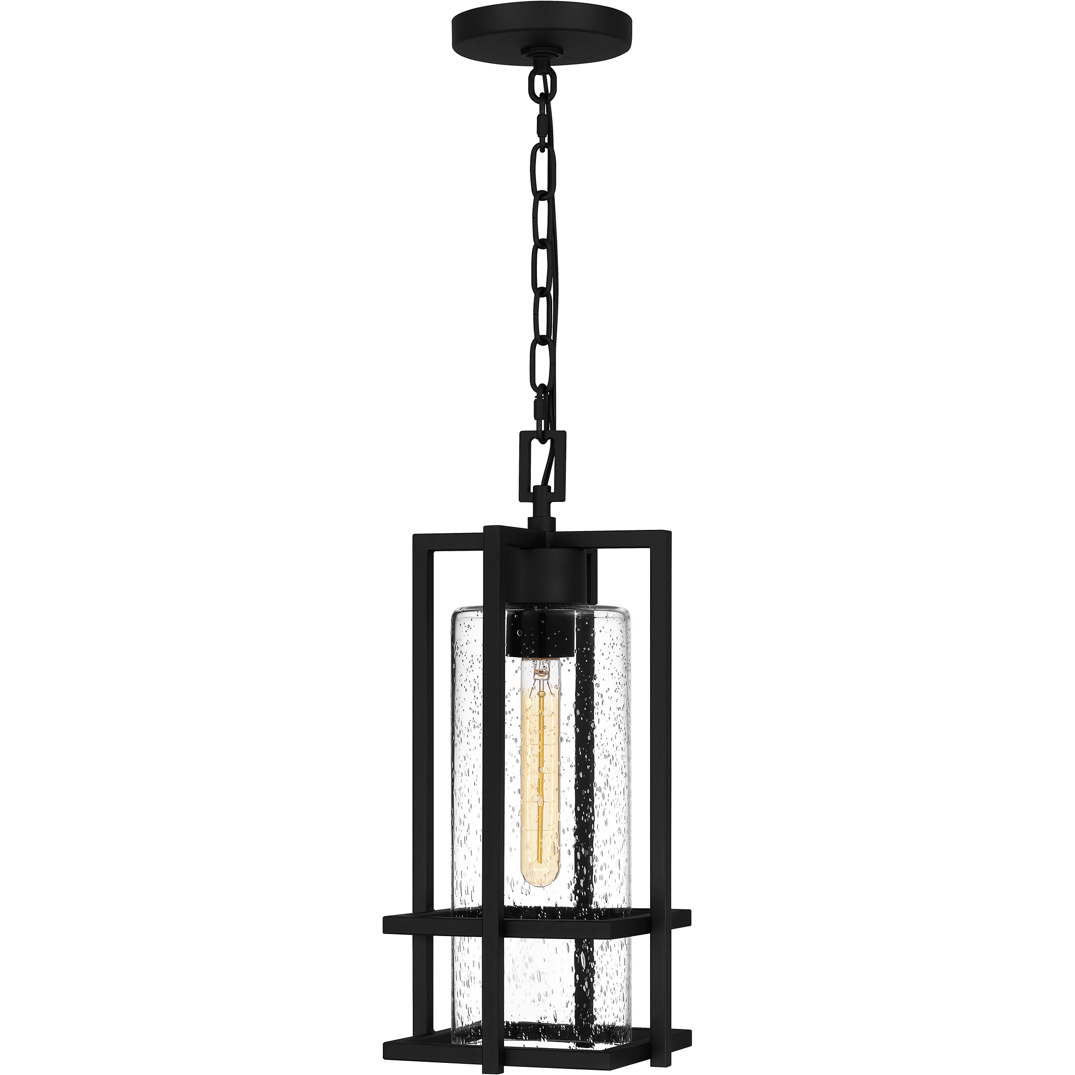 Damien 1 Light 7.5 inch Earth Black Outdoor Hanging Lantern