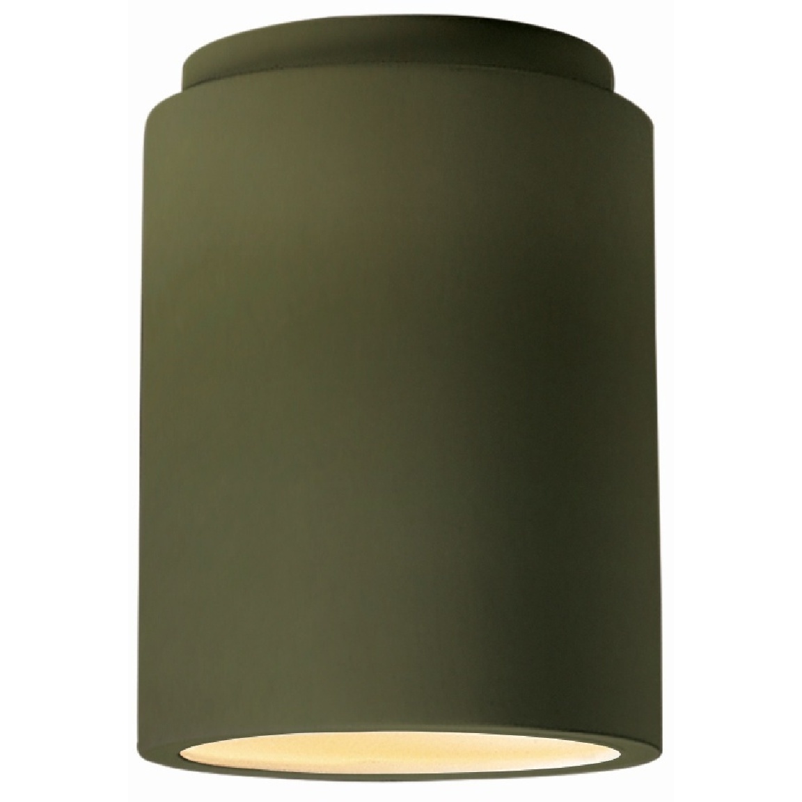 Radiance LED 6.5 inch Matte Green Outdoor Flush Mount