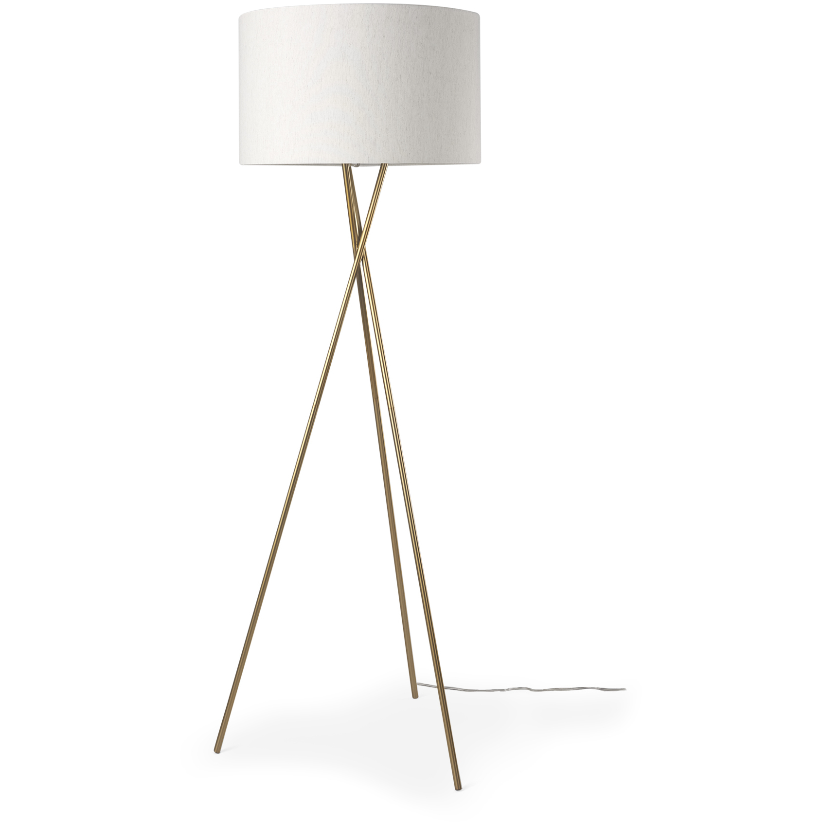 Ambrose 61.75 inch Gold Floor Lamp Portable Light