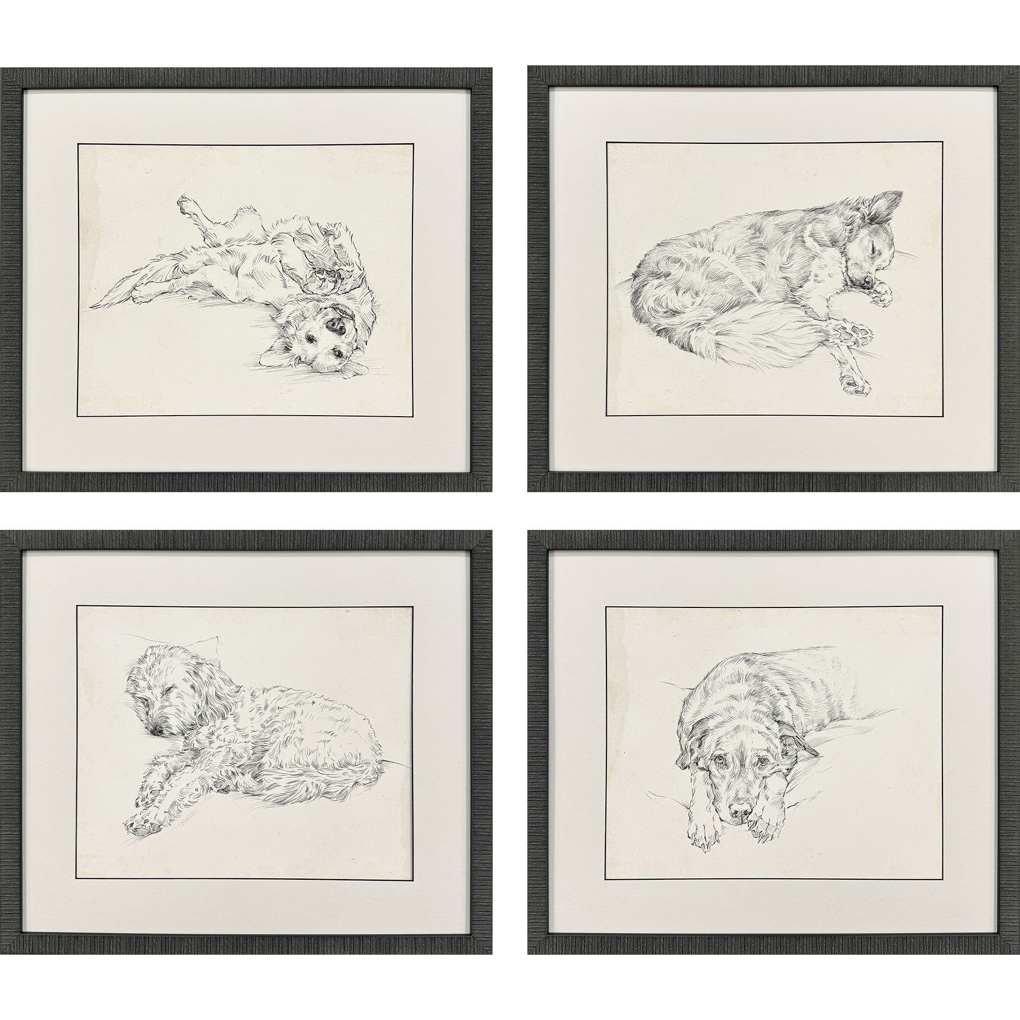 Antique Dog Sketch Beige and Neutral Framed Art