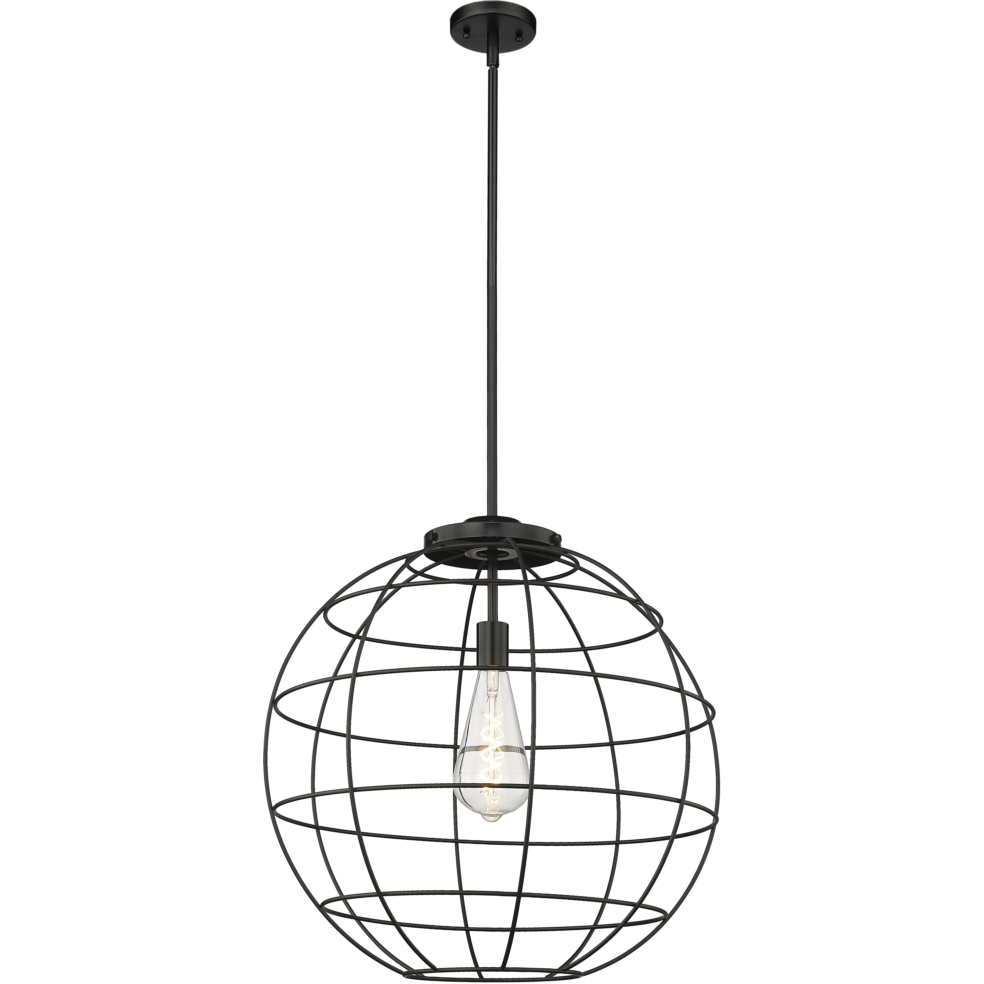 Lake Placid 1 Light 22 inch Matte Black Pendant Ceiling Light