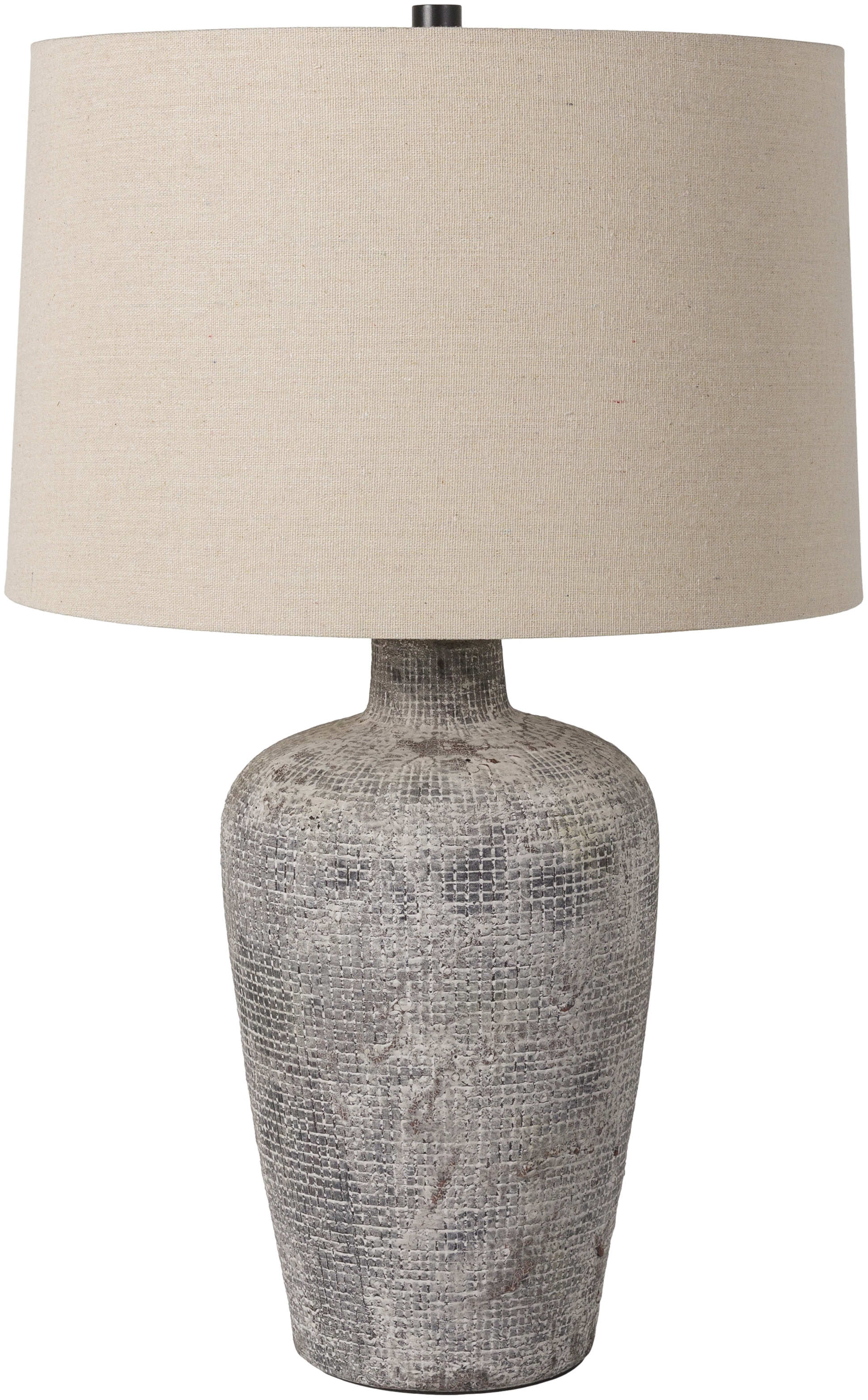 Jolayne 24.5 inch 100 watt Table Lamp Portable Light