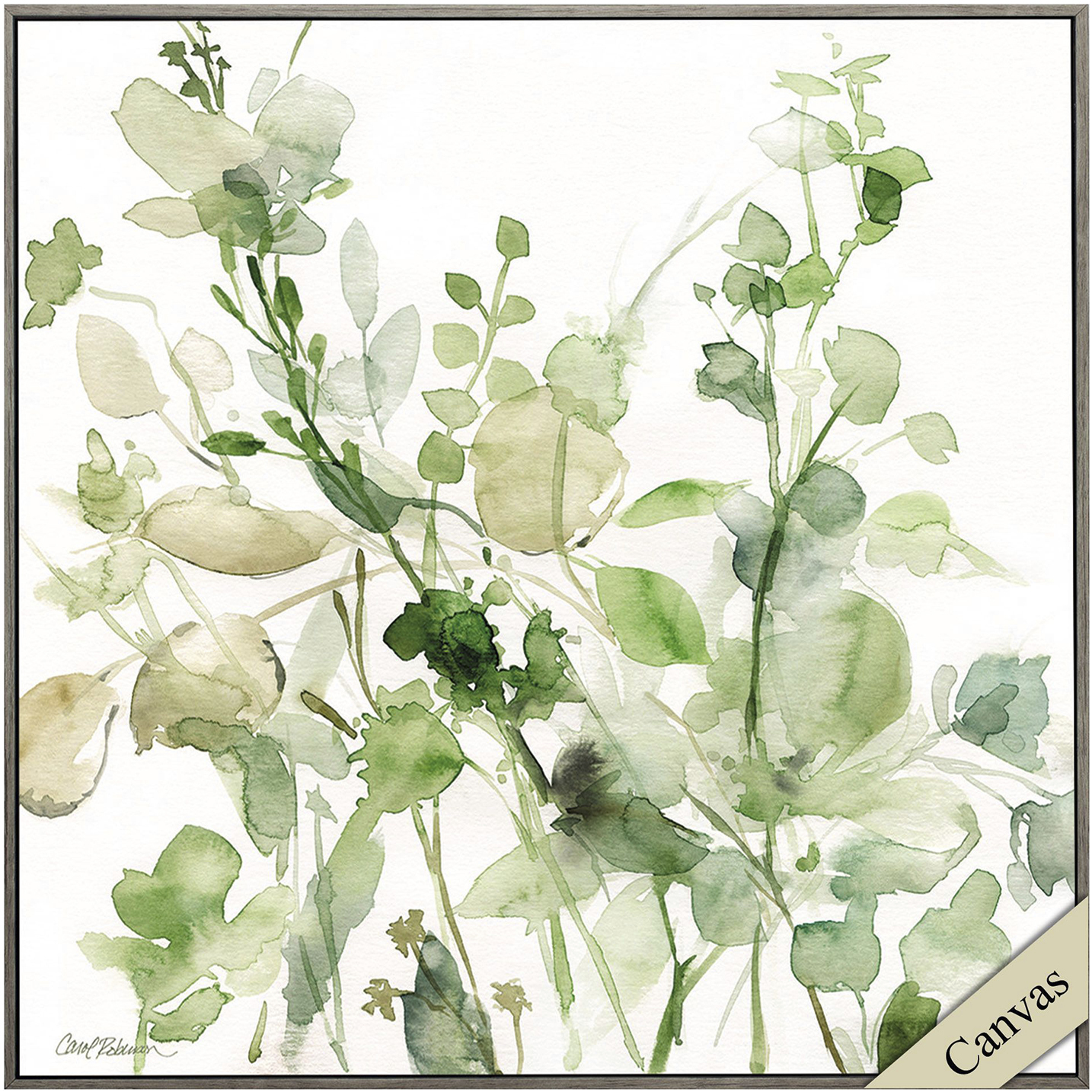 Sage Garden Green Canvas, Propac