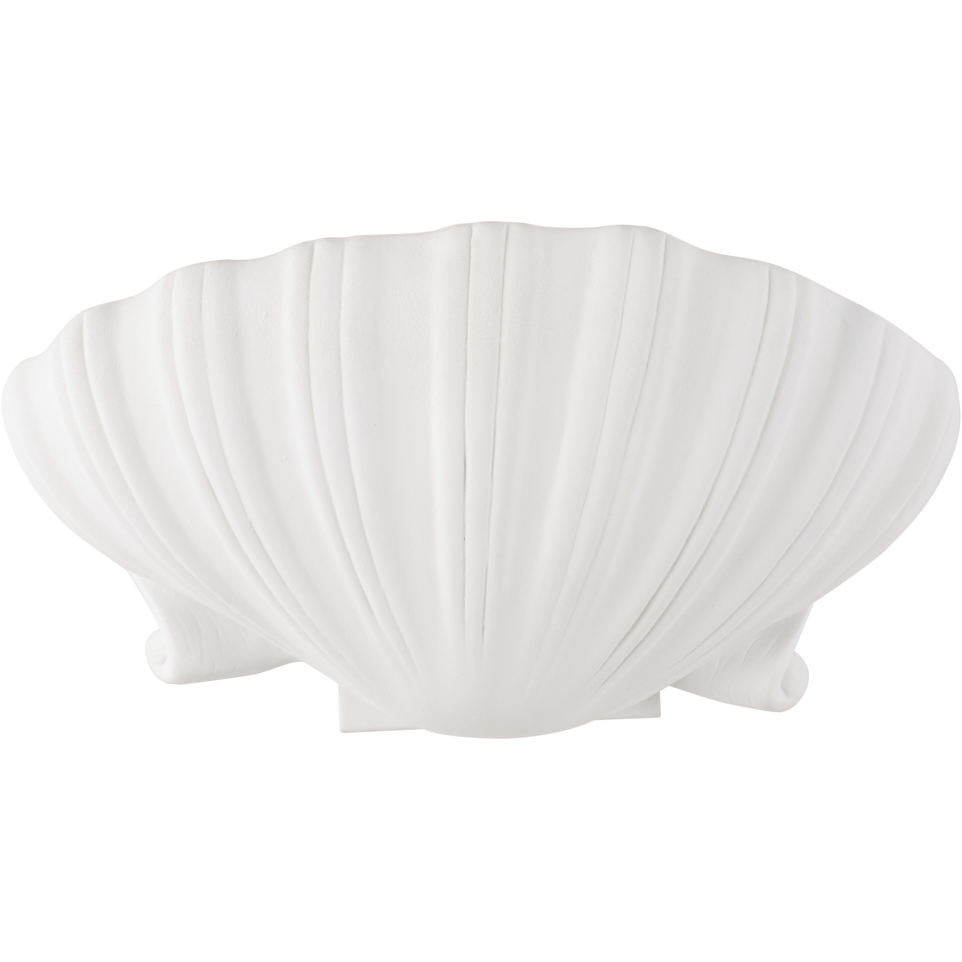 Syrie Shell Sconce Wall Light