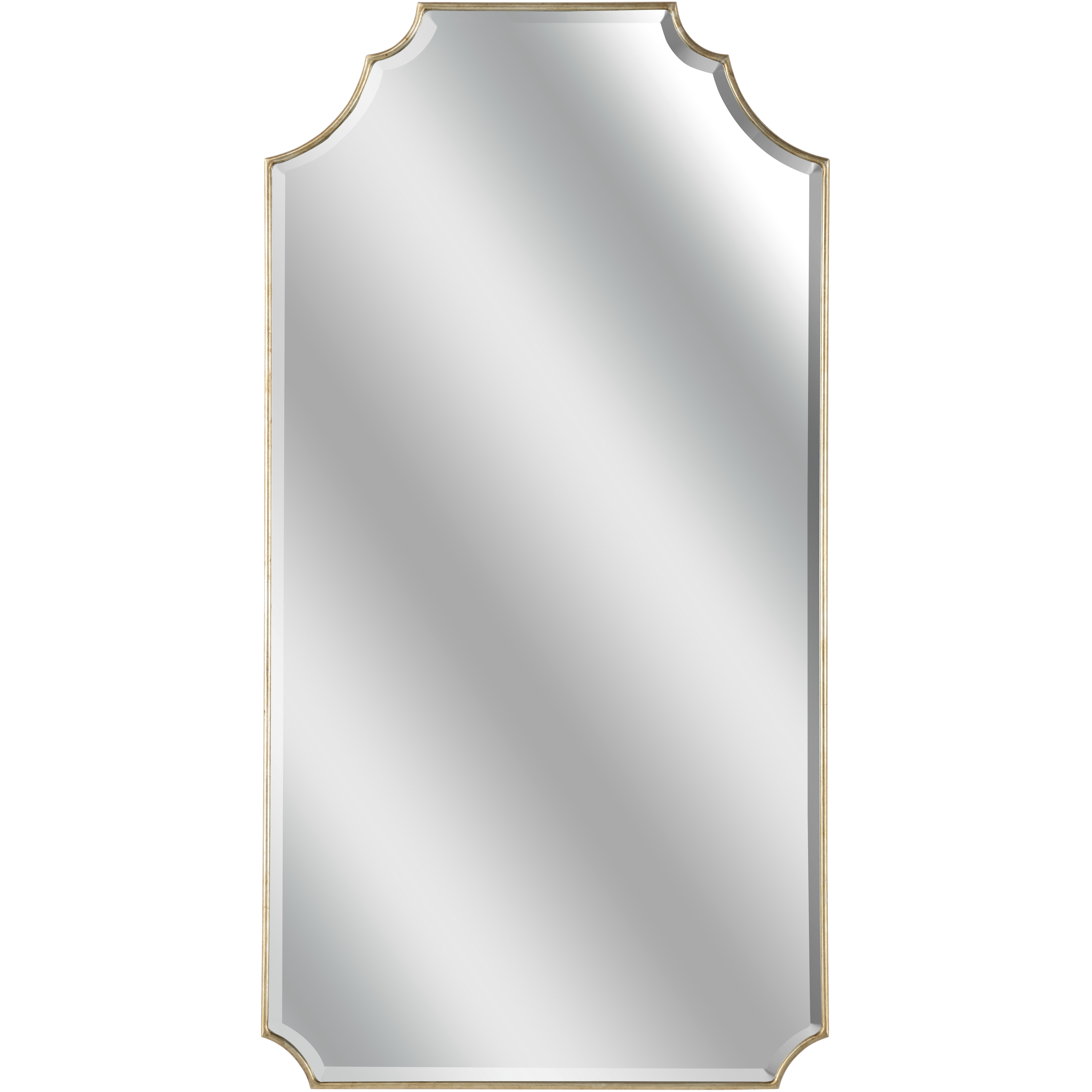 Brighton 42 X 22 inch Silver Mirror