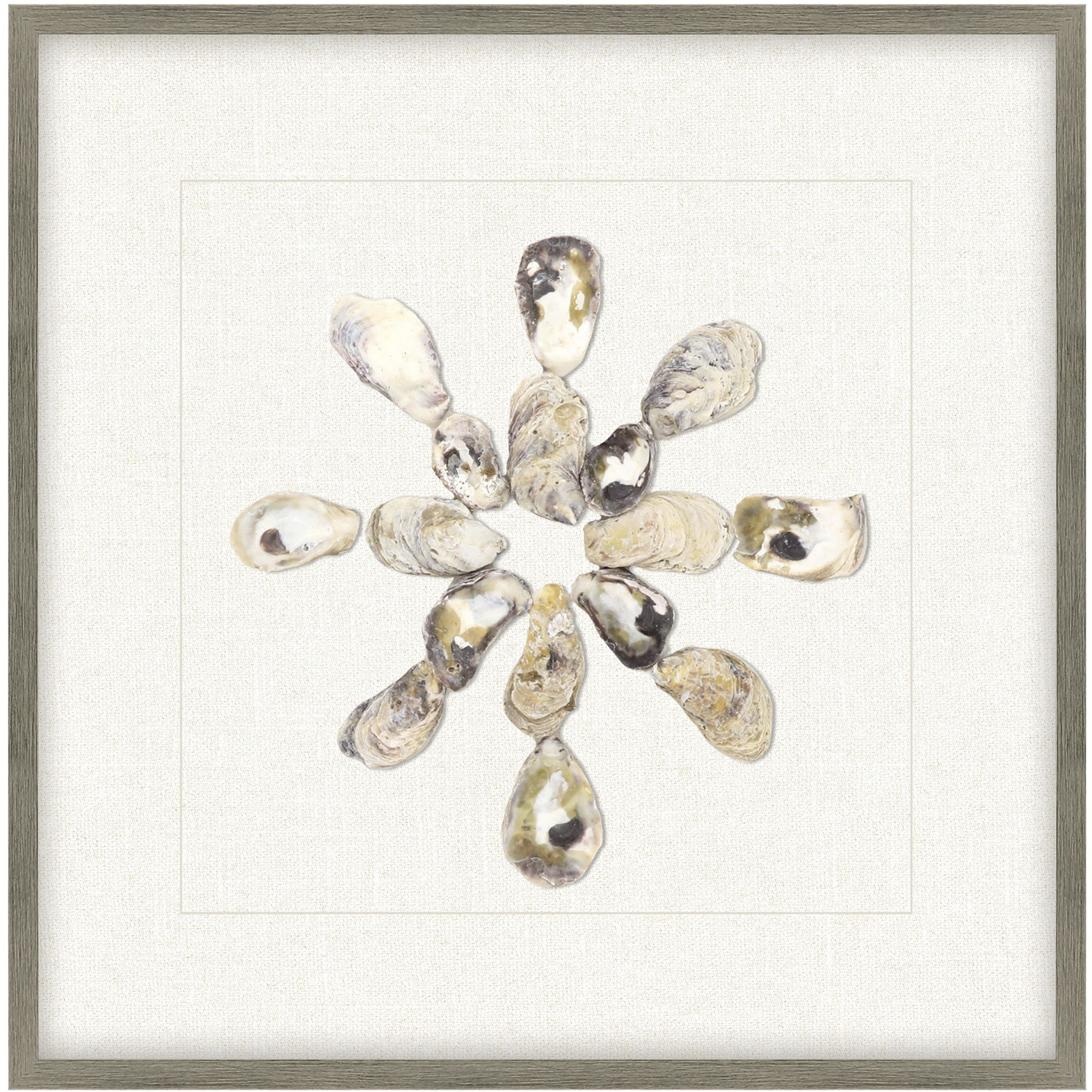 Oyster Shell / Shell Series Beige and Neutral Framed Art