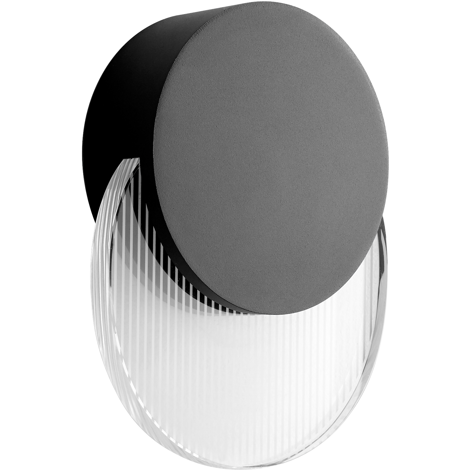 Pavo 1 Light 8 inch Black Outdoor Wall Sconce
