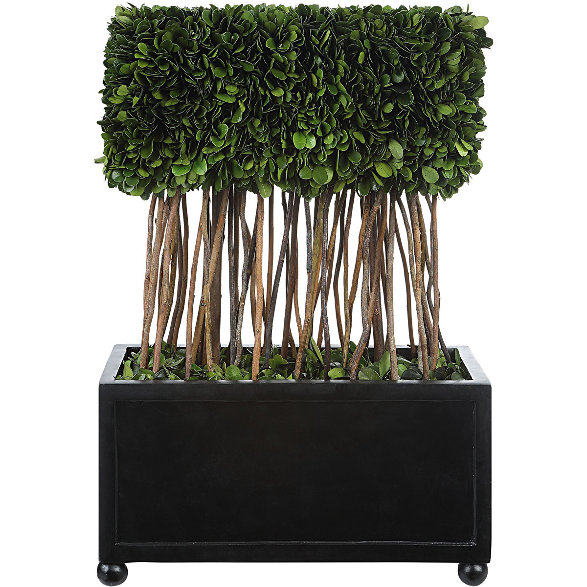 Uttermost 60188 Preserved Boxwood Evergreen Foliage and