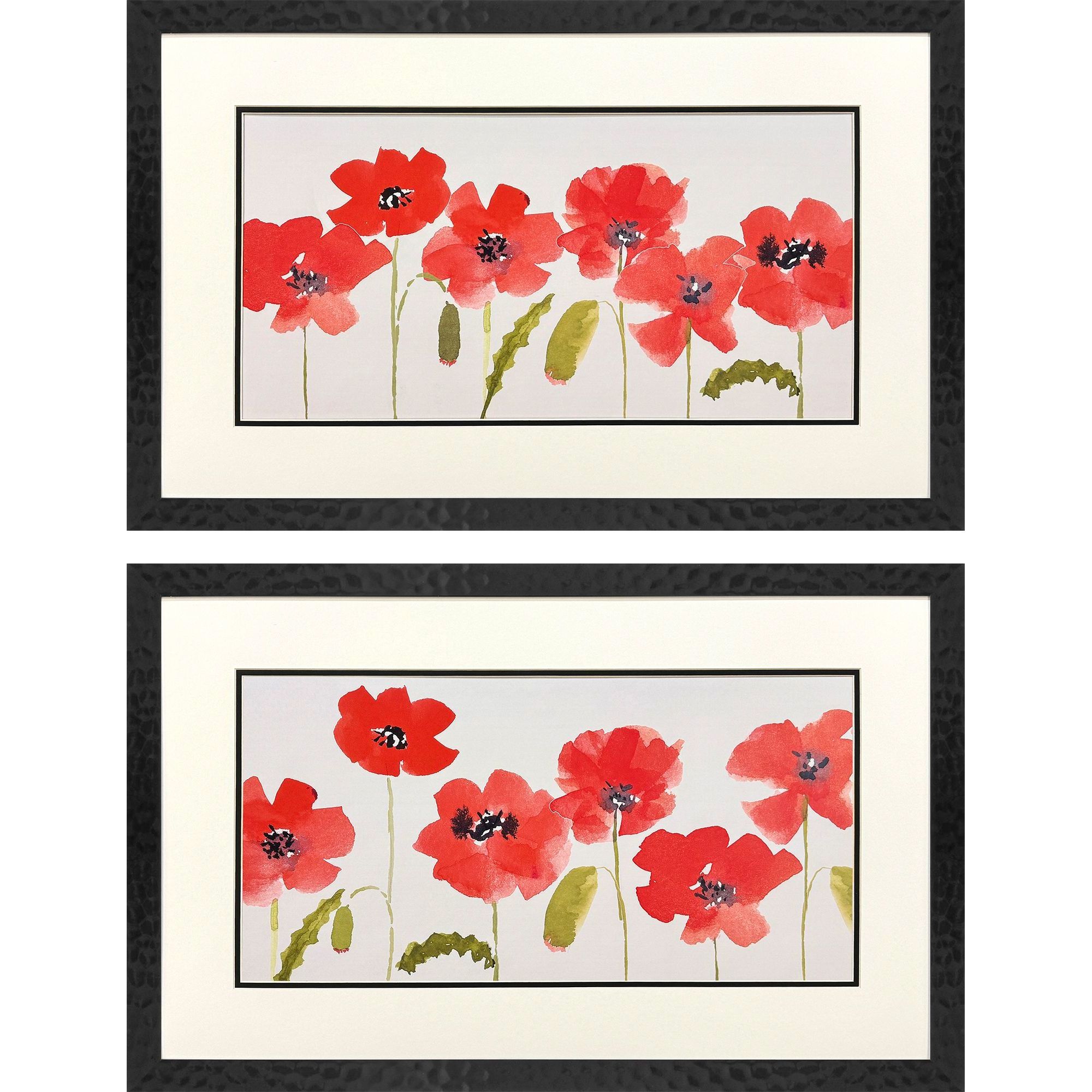 Anemone Study Red and White and Black and Green Framed Art, Propac