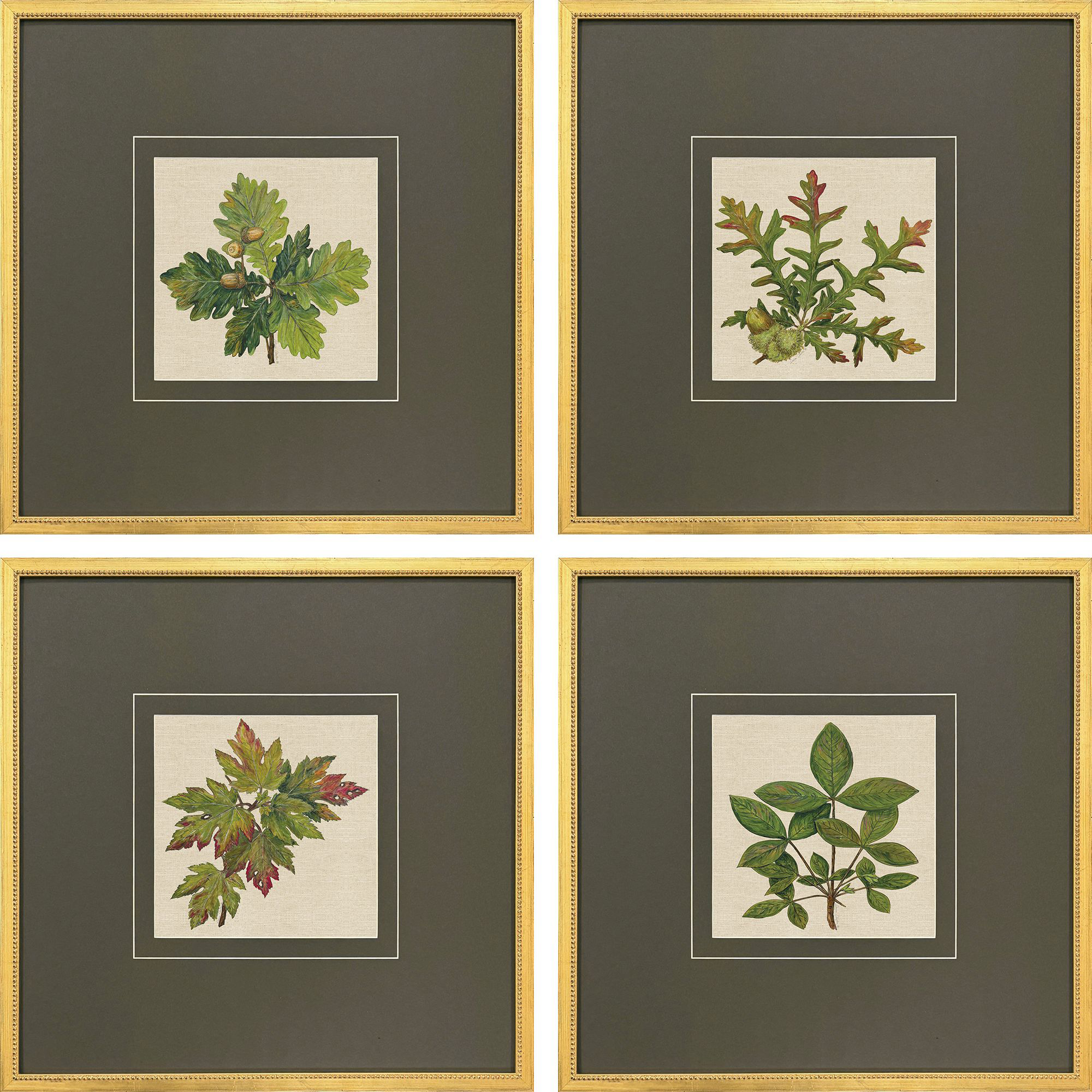 Leaf Imprint Green and Brown and Multi and Rust Framed Art