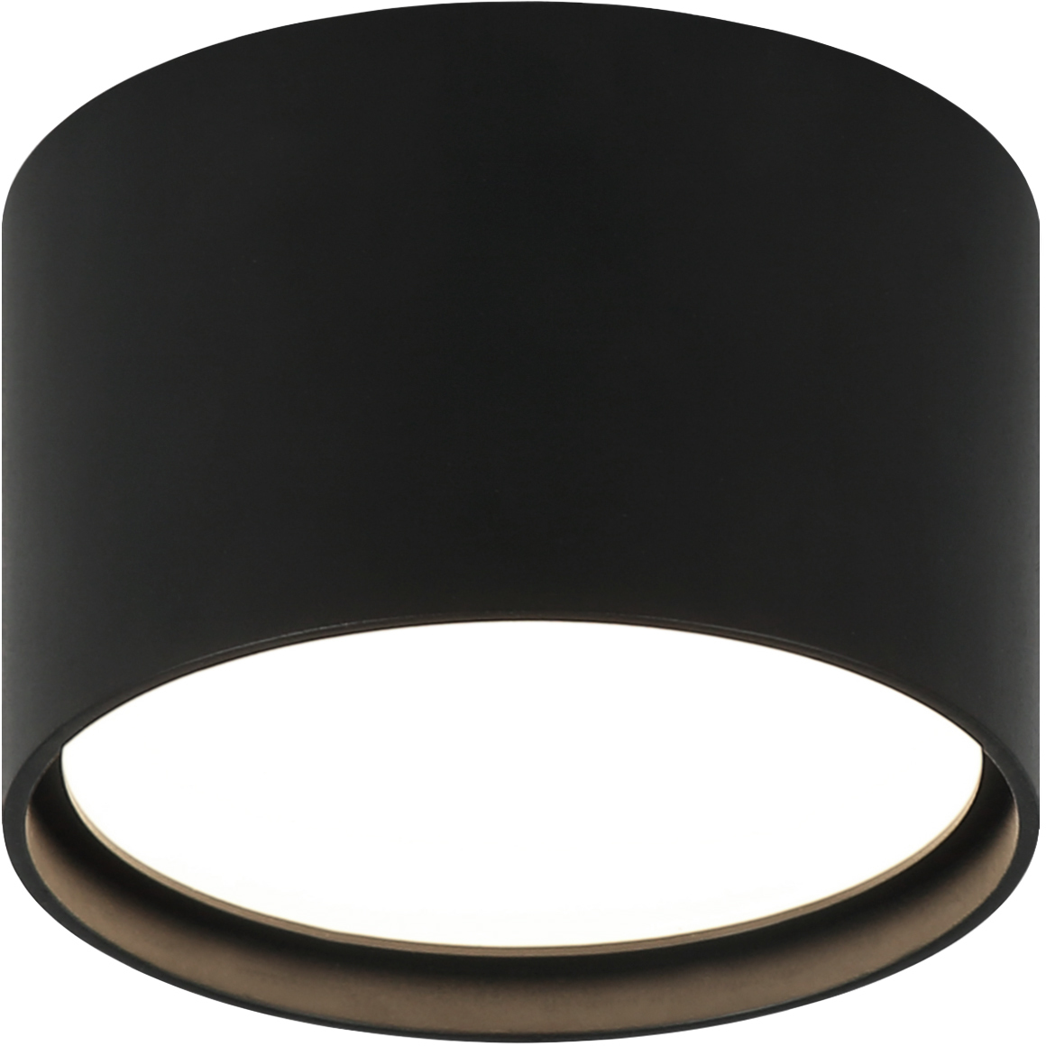 Caravon LED 5.5 inch Matte Black Flush Mount Ceiling Light