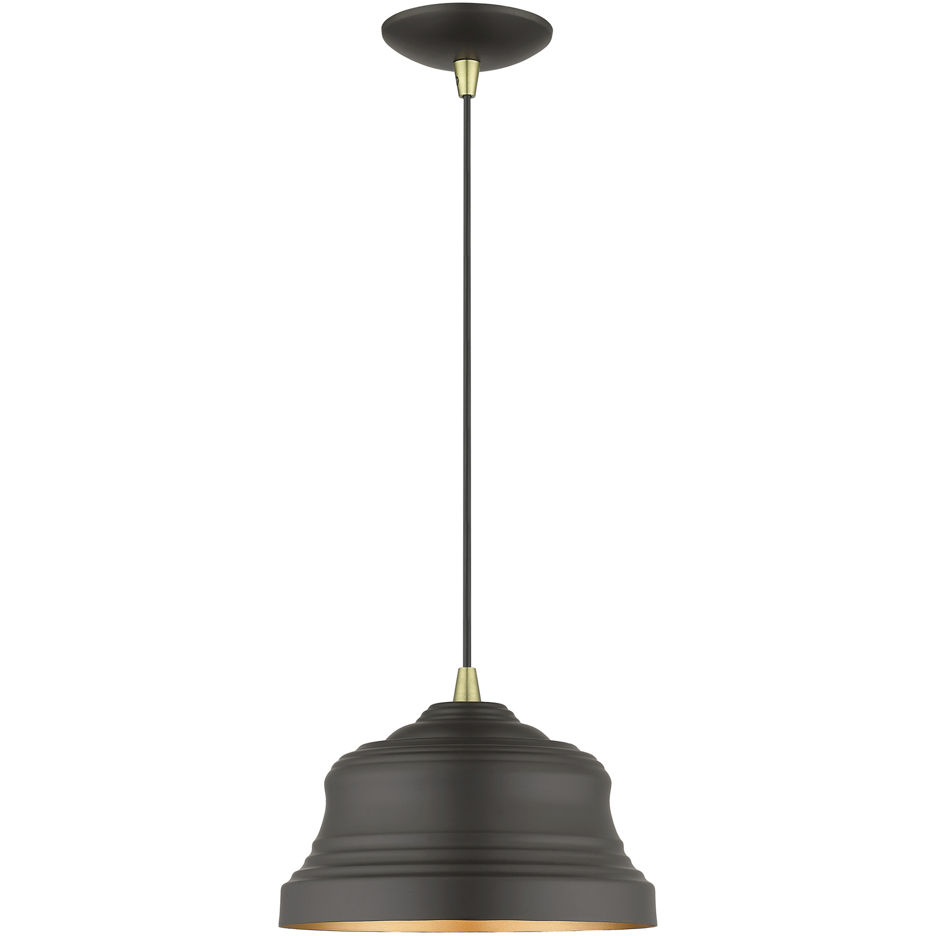 Endicott 1 Light 10 inch Bronze with Antique Brass Finish Accents Pendant Ceiling Light in Bronze with Antique Brass Accent
