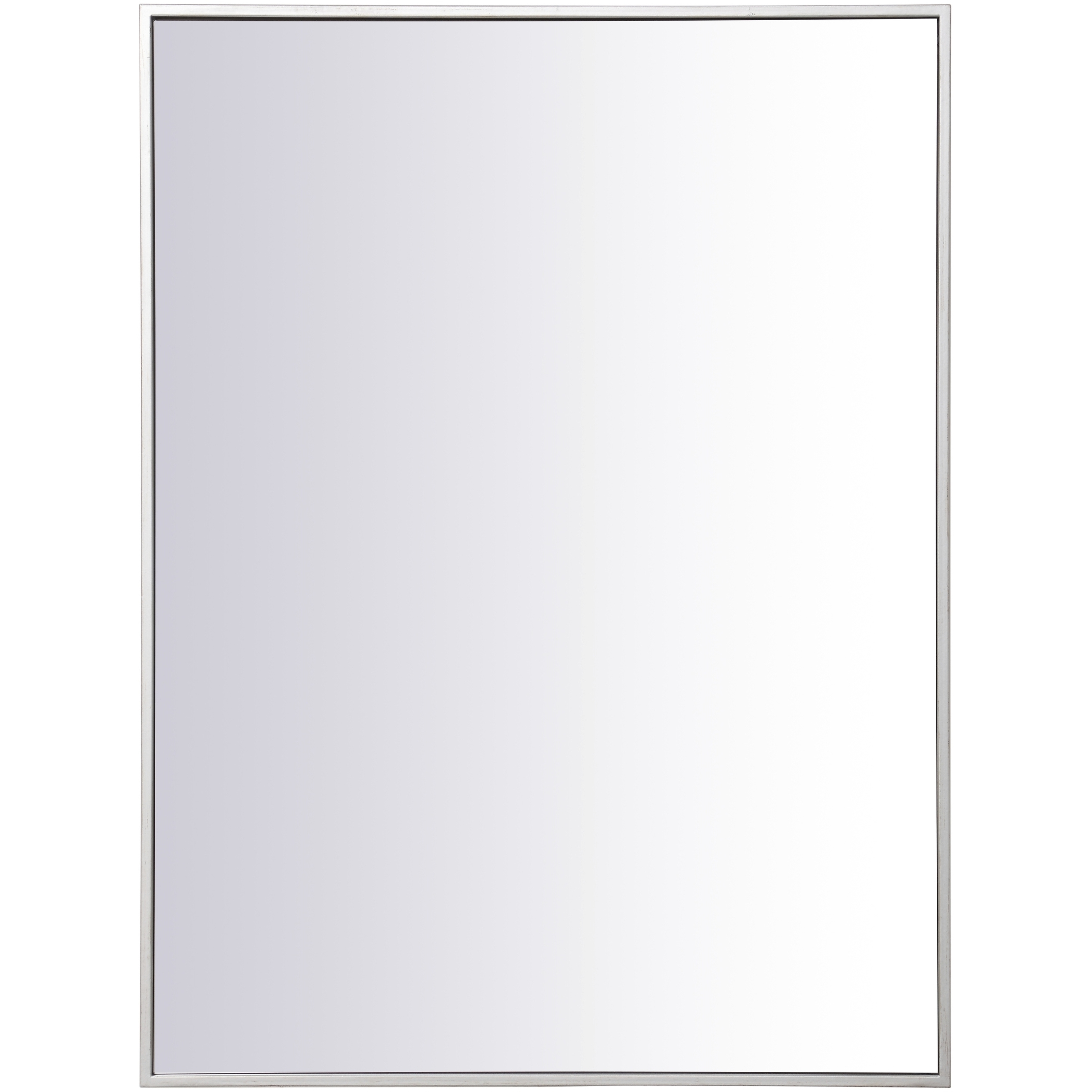 Monet 36 X 27 inch Silver Wall Mirror