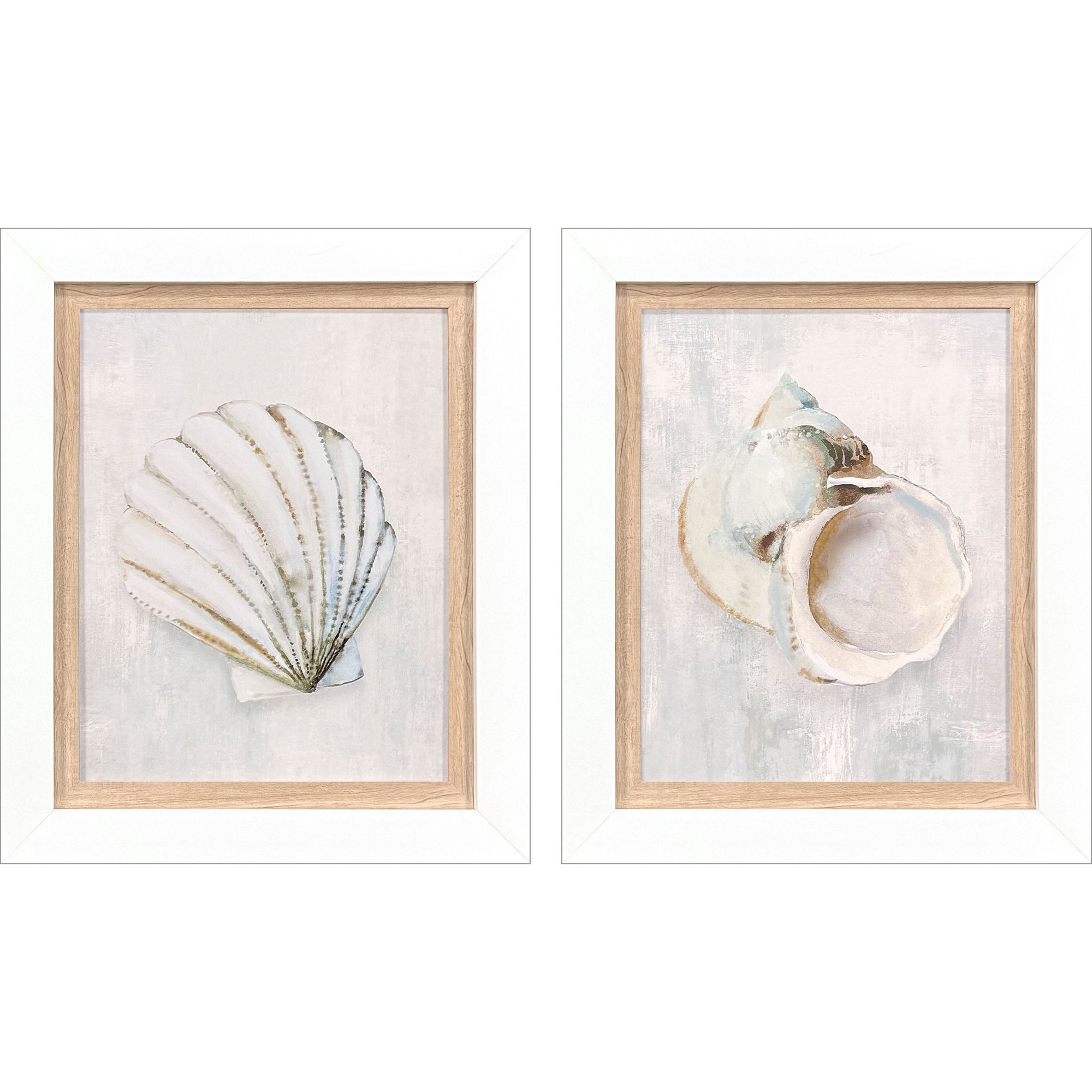 Serenity Shells Blue and Neutral Framed Art, Propac
