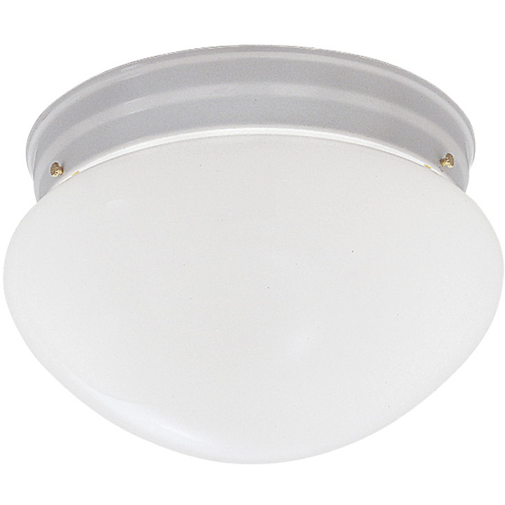 Basic 2 Light 9 inch White Flushmount Ceiling Light