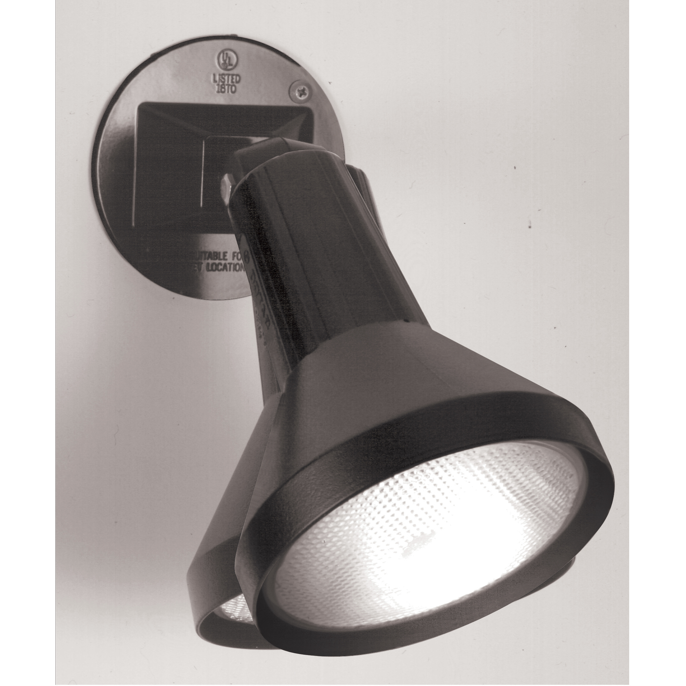 Brentwood 1 Light 5 inch Black Outdoor Flood Light