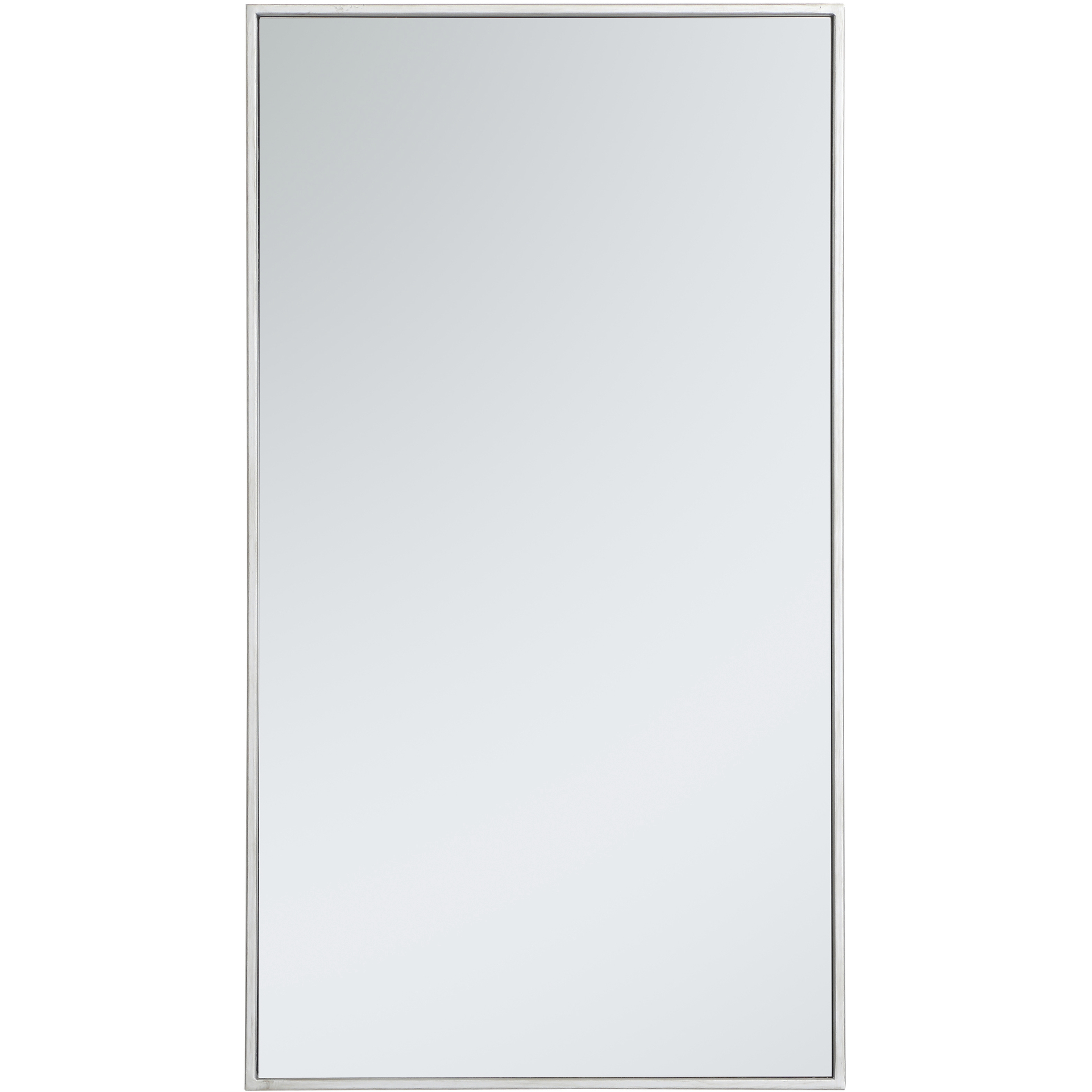 Monet 36 X 20 inch Silver Wall Mirror