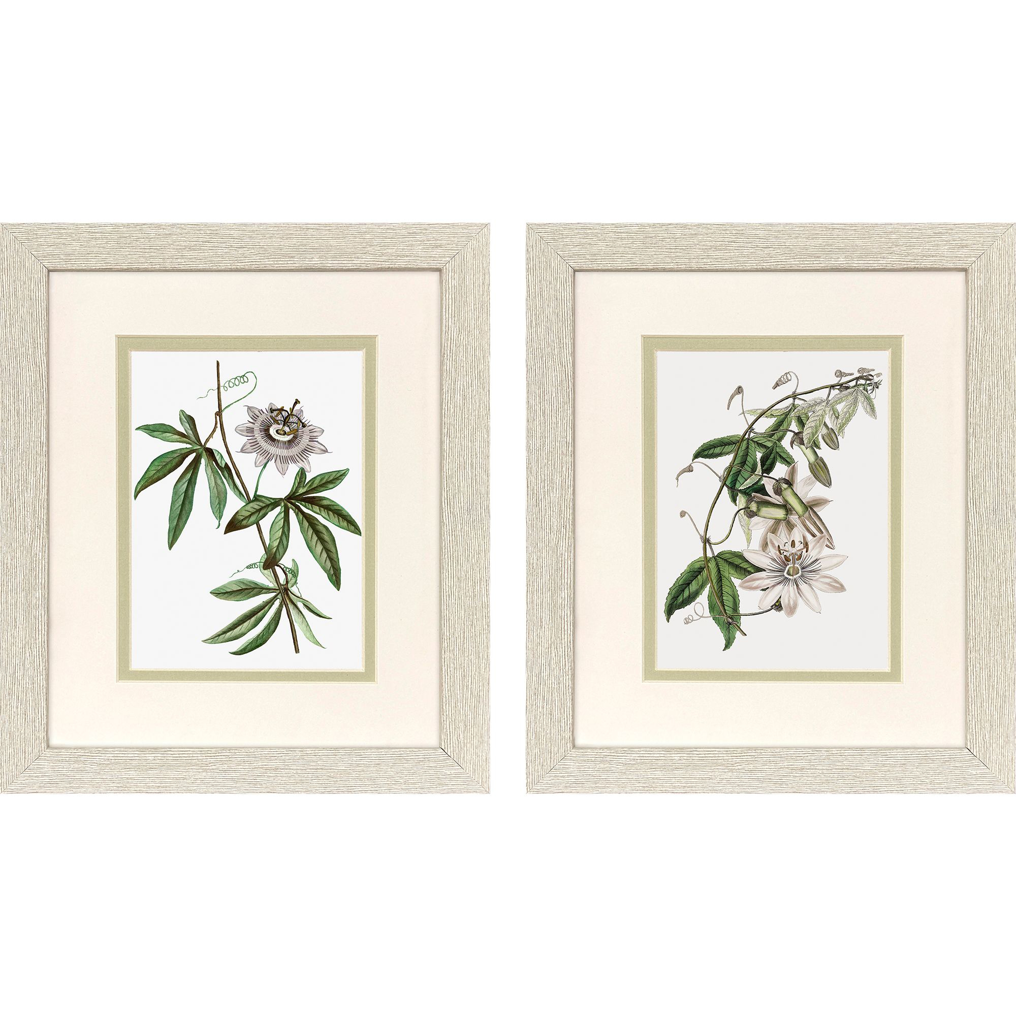 Tropical Botanical I Green and Pink and White Framed Art, Propac