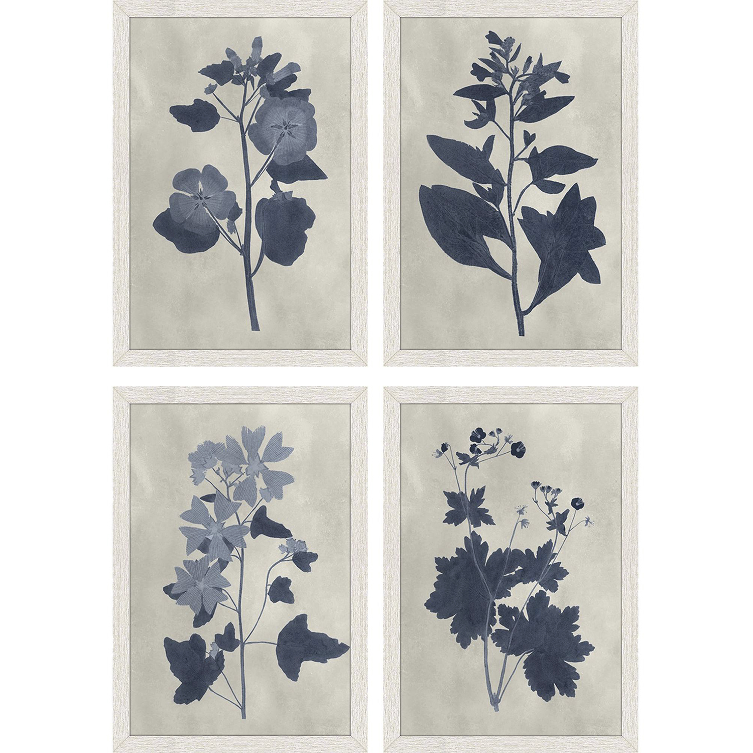 Pressed Flower Blue and White Framed Art, Propac