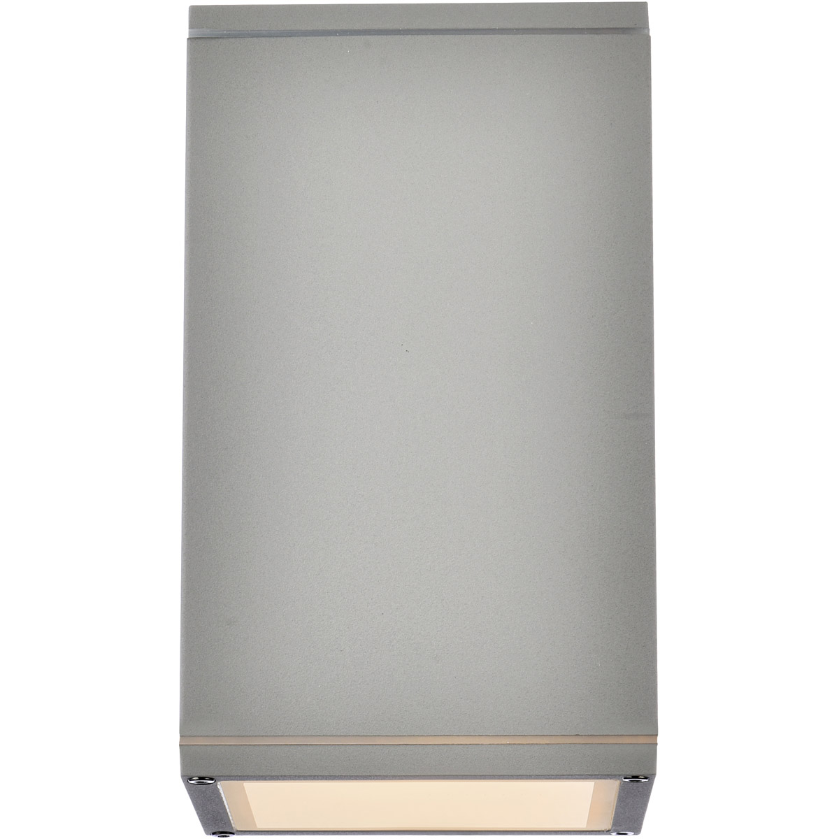 Raine 1 Light 7.88 inch Silver Outdoor Wall Light