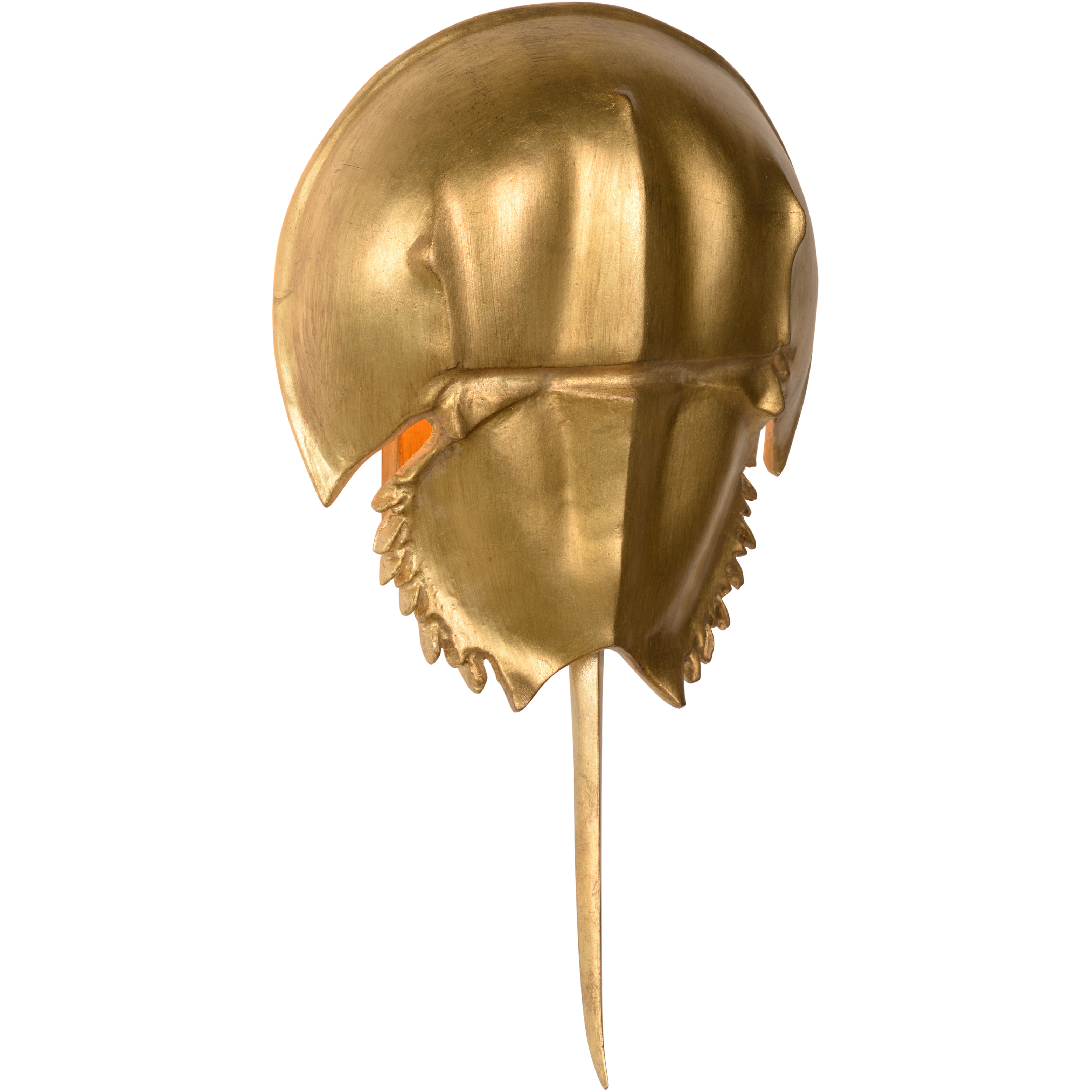 Horseshoe Crab Sconce Wall Light