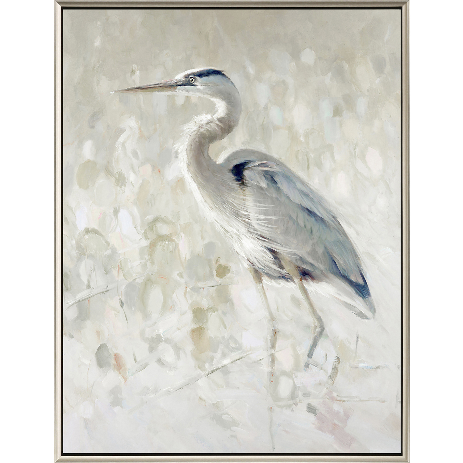 Great Blue Heron White Canvas