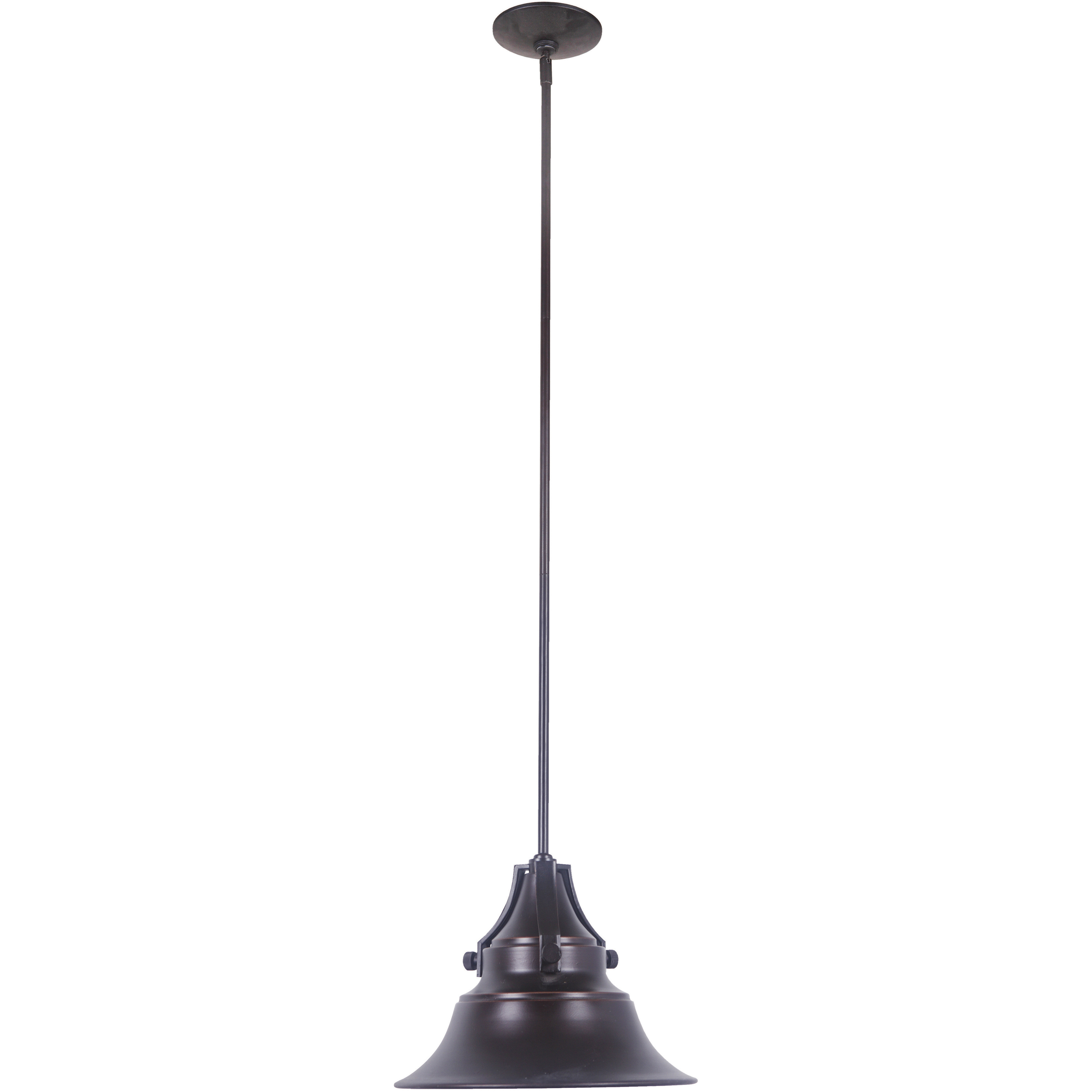 Union 1 Light 8 inch Oiled Bronze Gilded Outdoor Pendant, Small