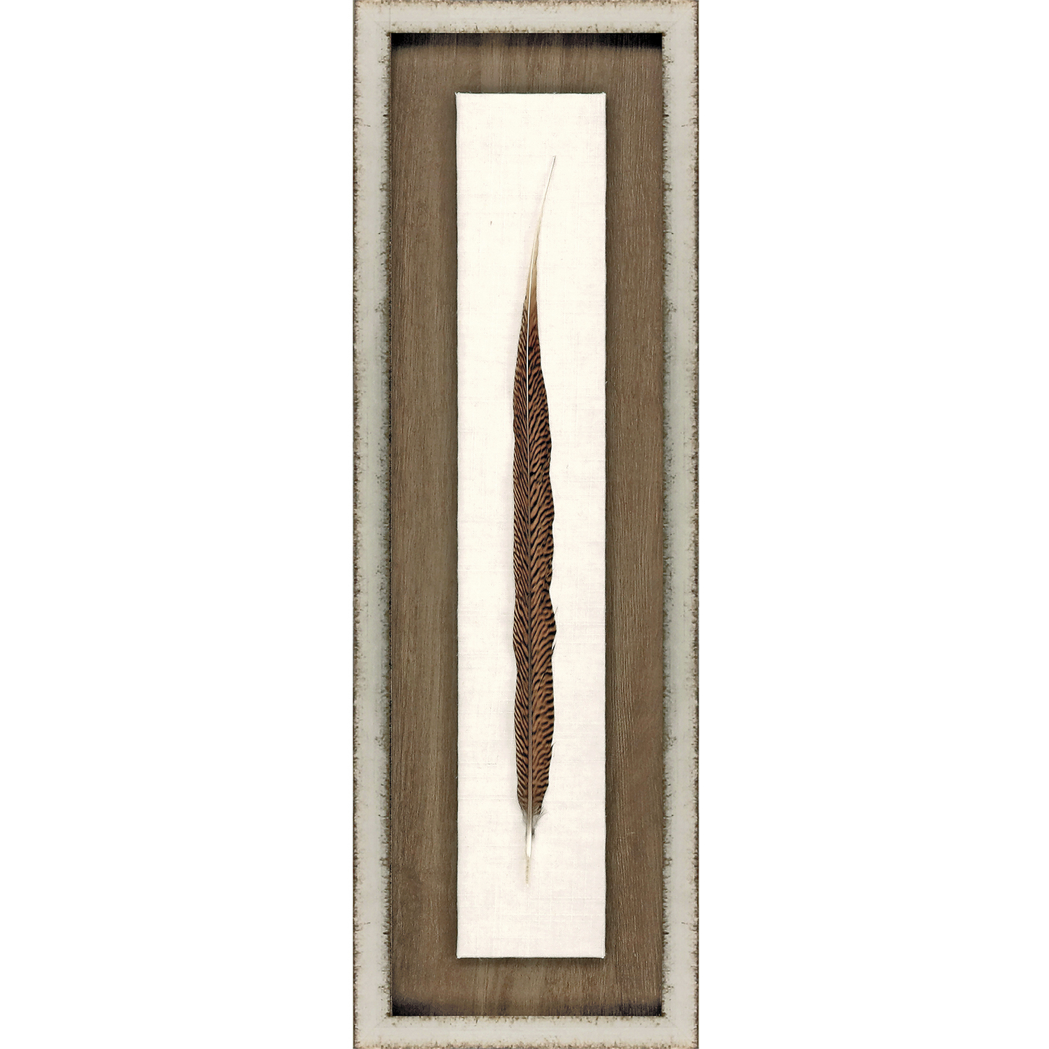 Lady Amhurst Feather / Pheasant Feather Brown and Black and Neutral Framed Art