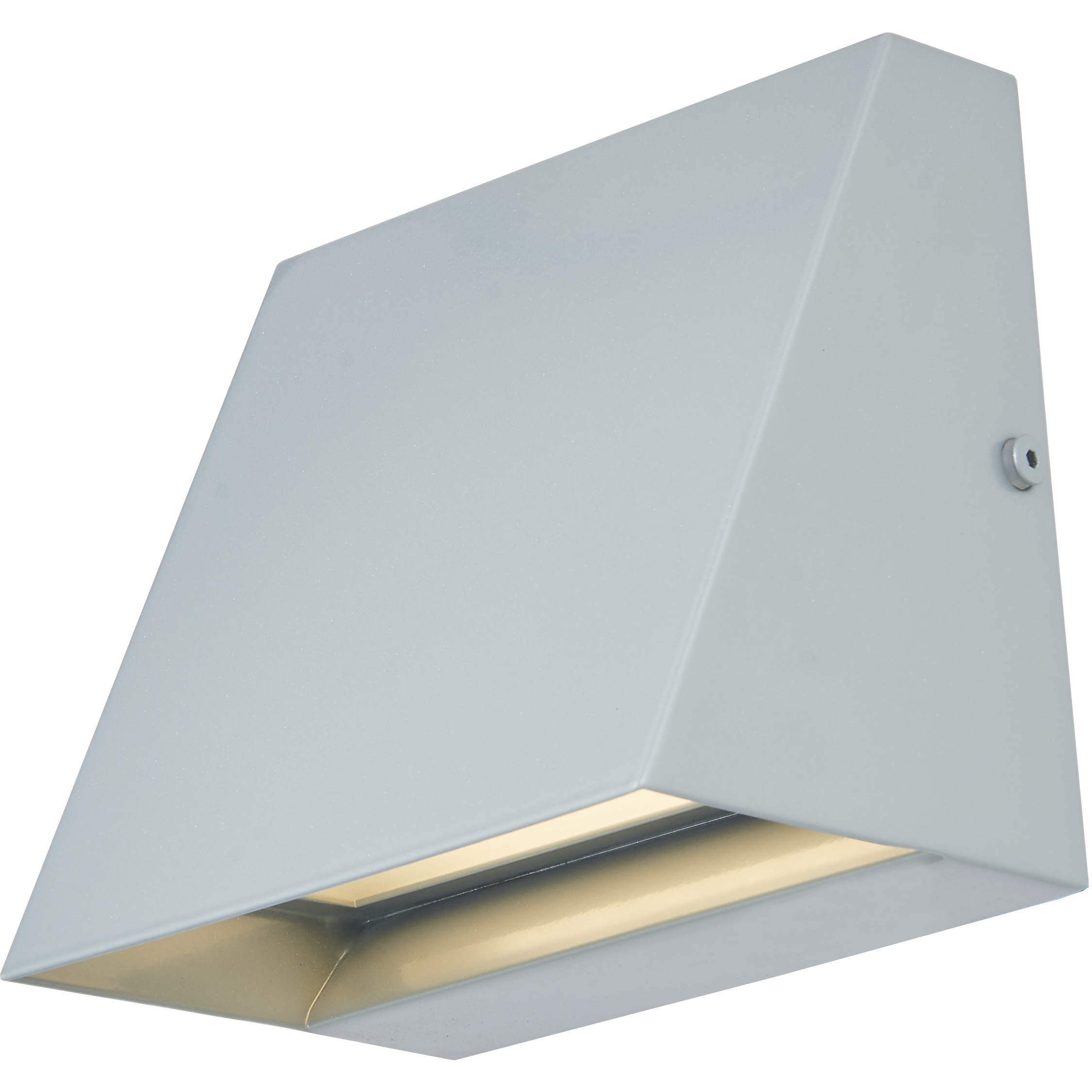 Wedge LED 5 inch Silica Outdoor Wall Light