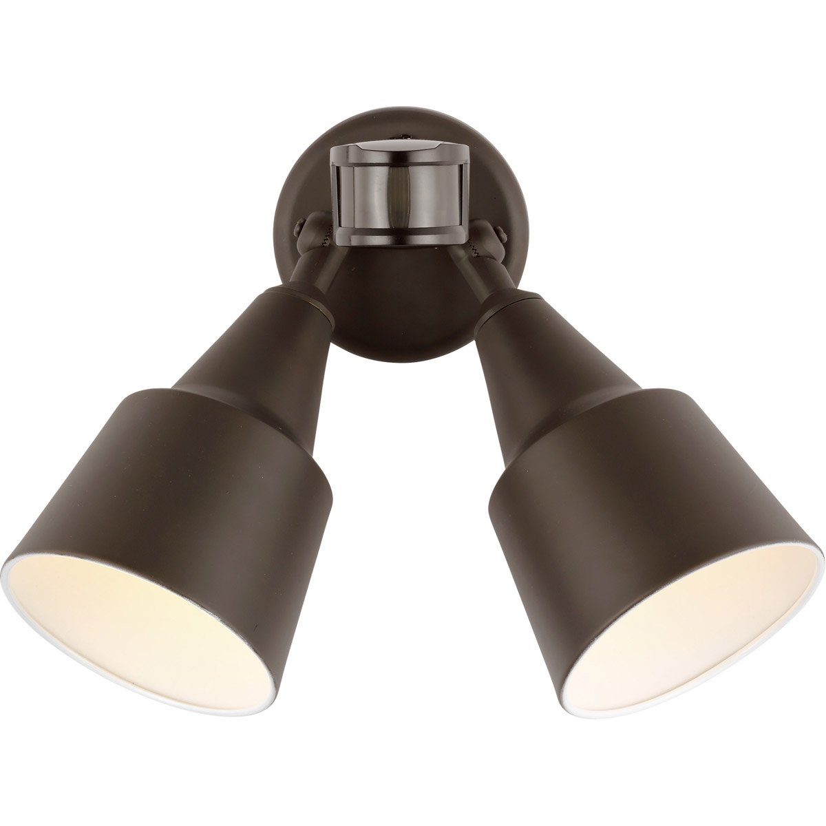 Generation Lighting | Sea Gull 8560702PM-71 Flood Light 2 Light