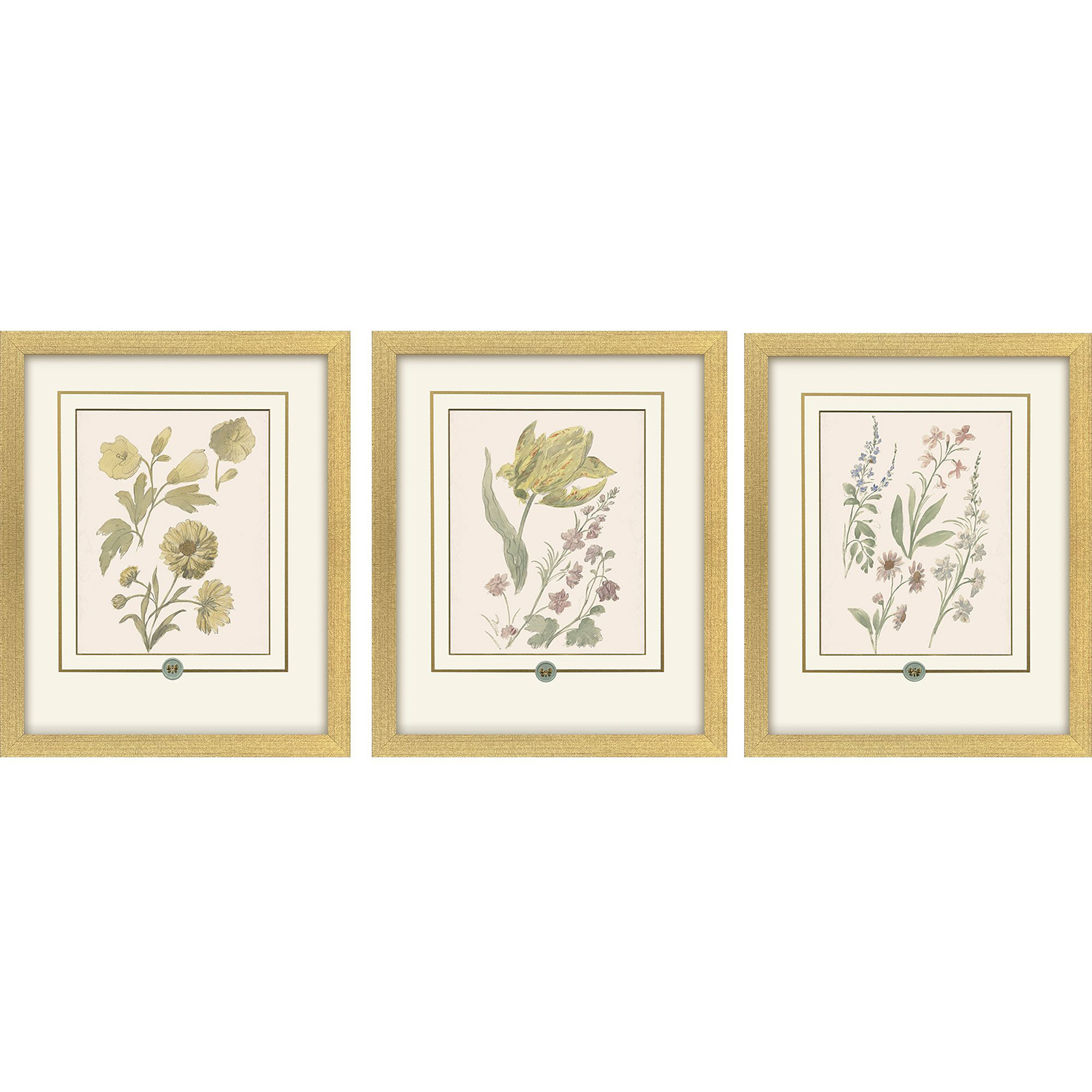 Garden Study Green and Pink and Multi and Yellow Framed Art