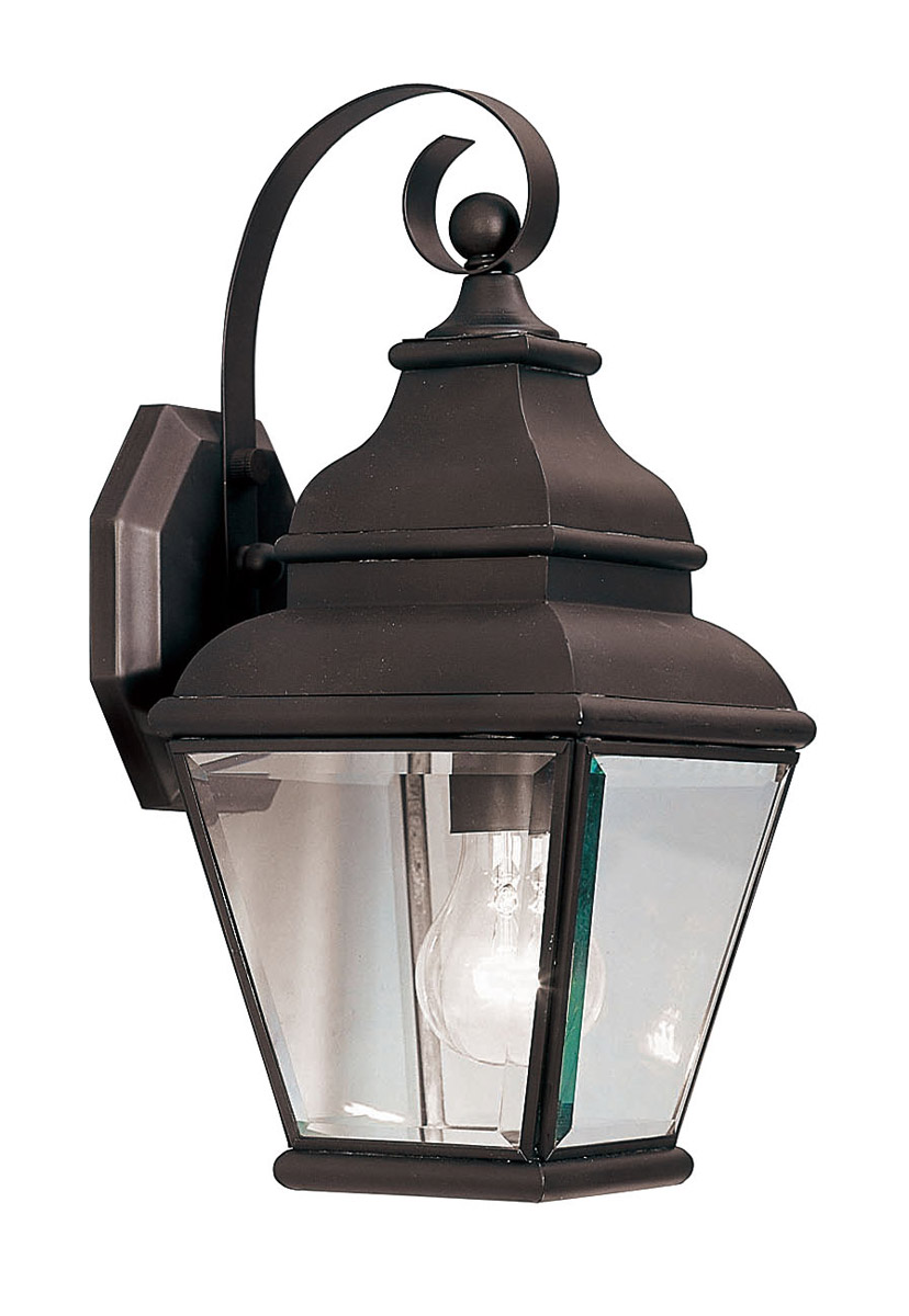 Exeter 1 Light 14.5 inch Bronze Outdoor Wall Lantern