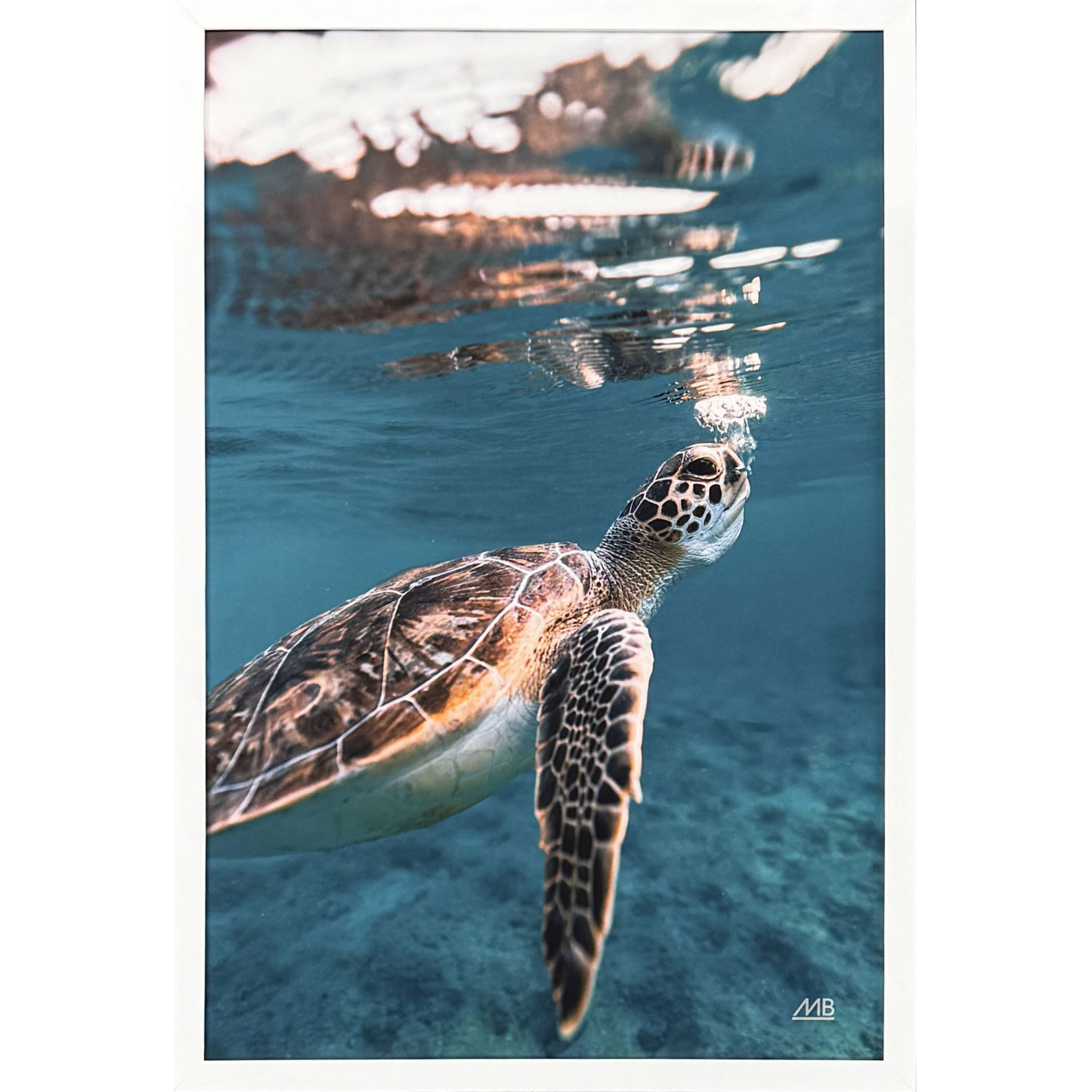 Blowing Bubbles Blue and Brown and Turquoise and Teal Framed Art