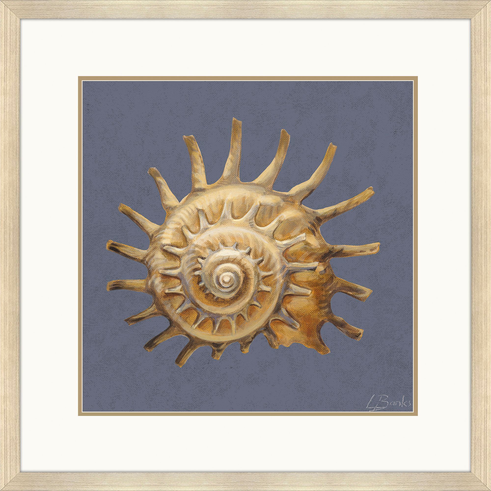 Coastal Delight / Ocean Treasure Blue and Beige and Brown Framed Art