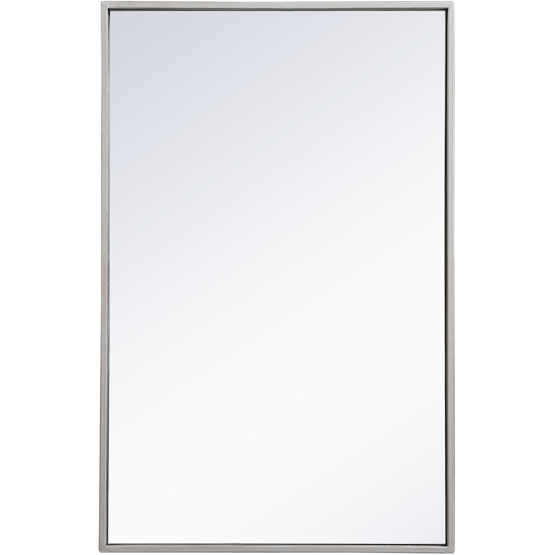 Monet 28 X 18 inch Sliver Wall Mirror in Silver
