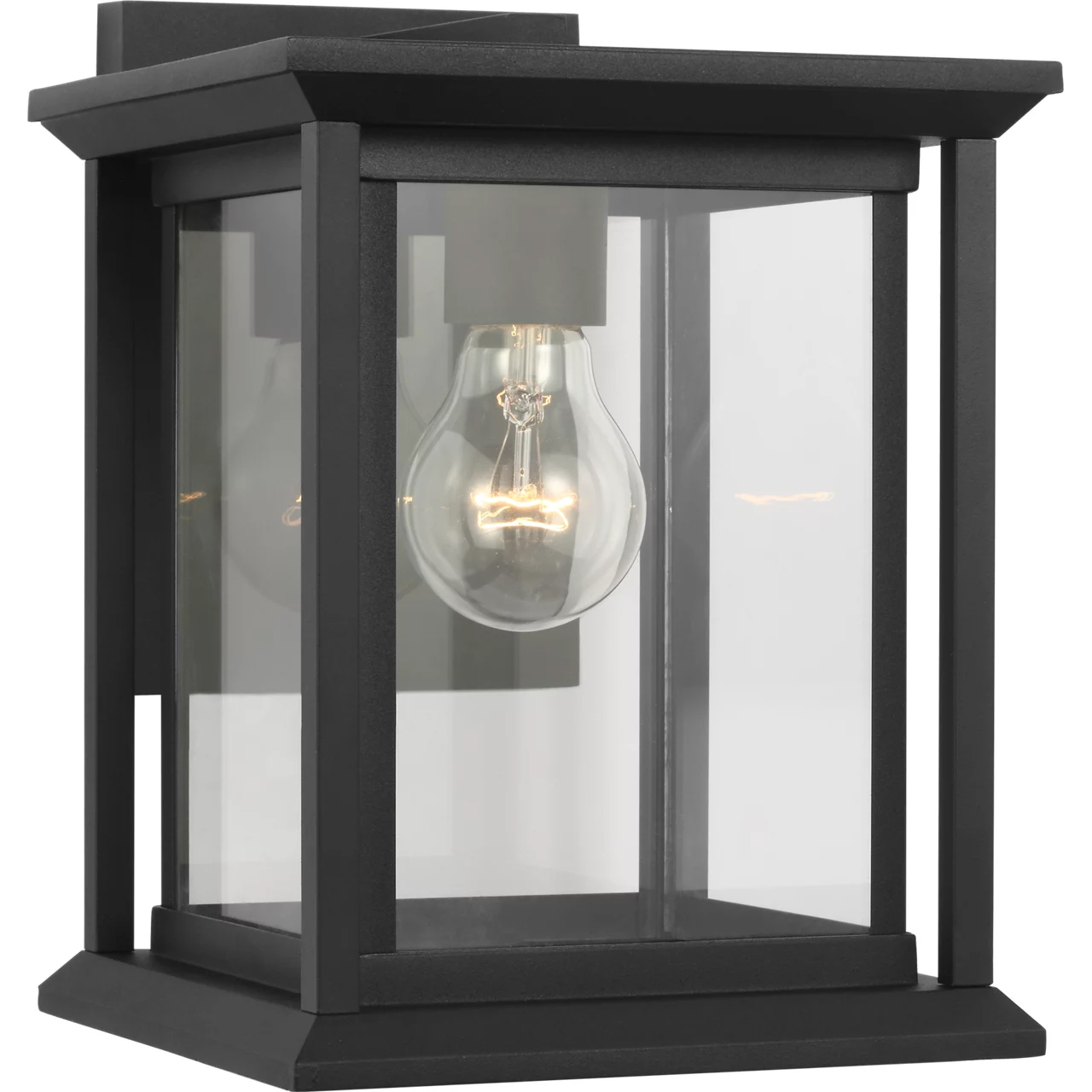Audley 1 Light 10 inch Textured Black Outdoor Wall Lantern in Clear Glass, Small