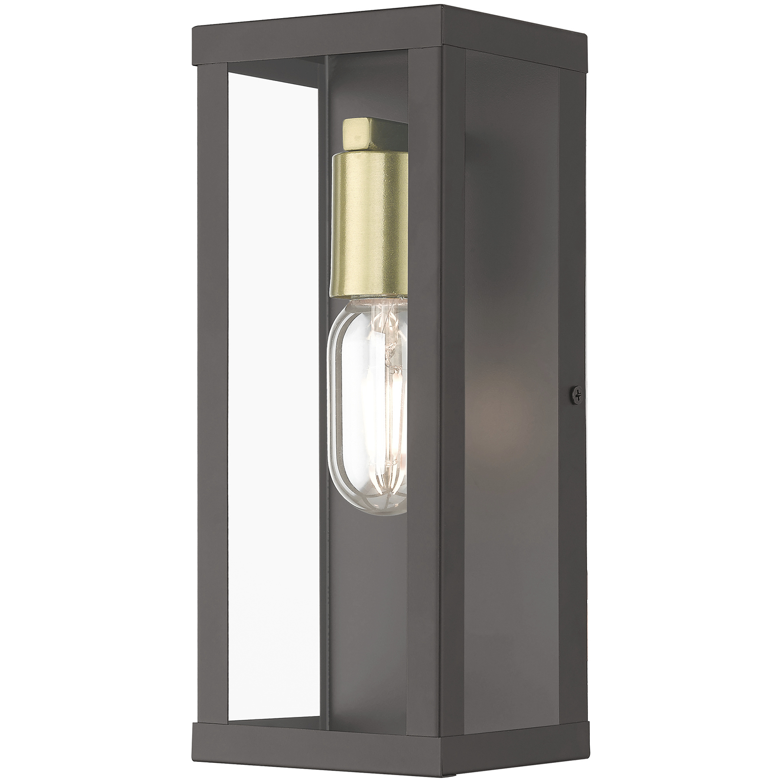 Gaffney 1 Light 11 inch Bronze with Antique Gold Finish Accents Outdoor ADA Medium Wall Lantern, Medium