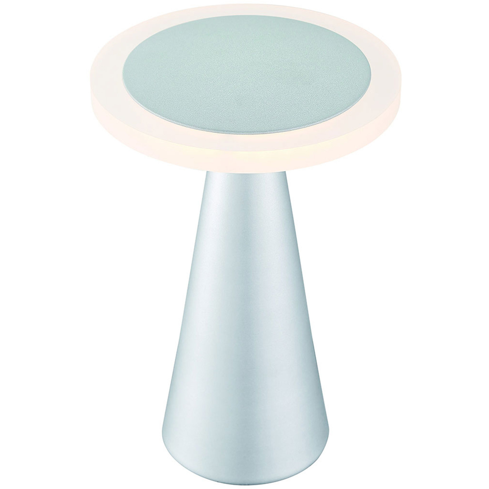 Cute 8.94 inch 7 watt Titanium Task Lamp Portable Light