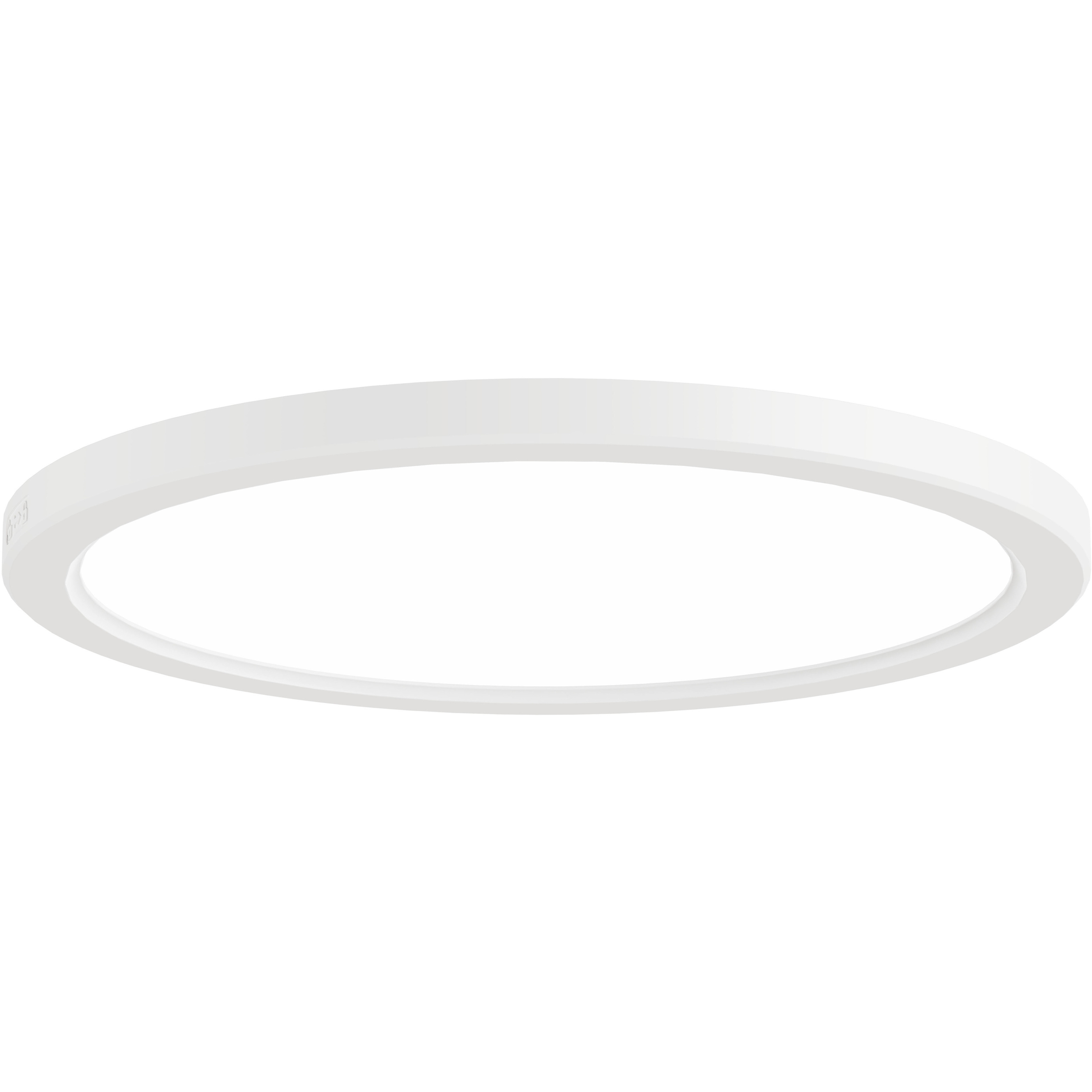 Firefly LED 11.8 inch Matte White Flush Mount Ceiling Light