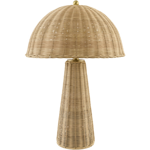 Naves 23 inch 100 watt Natural Plated Accent Table Lamp Portable Light