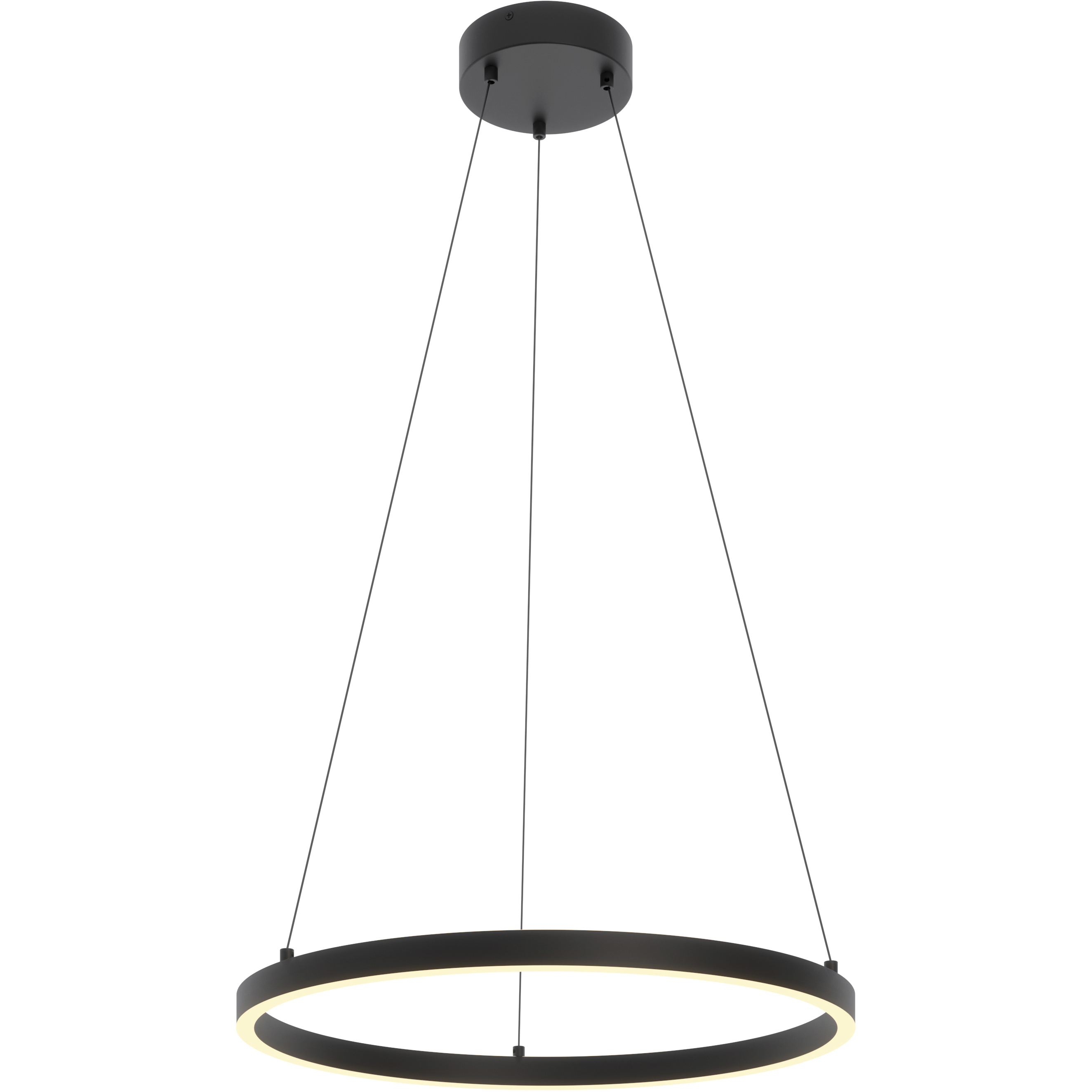 Glo LED 23.75 inch Black Pendant Ceiling Light
