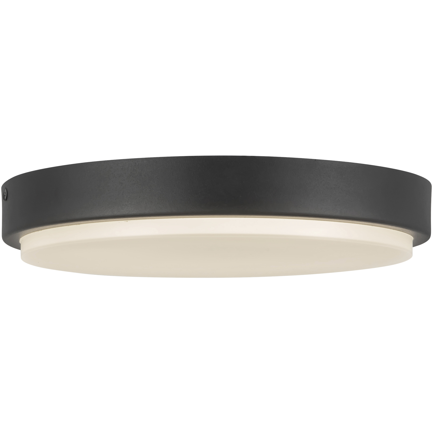 Bailey 11 inch Black Exterior Ceiling