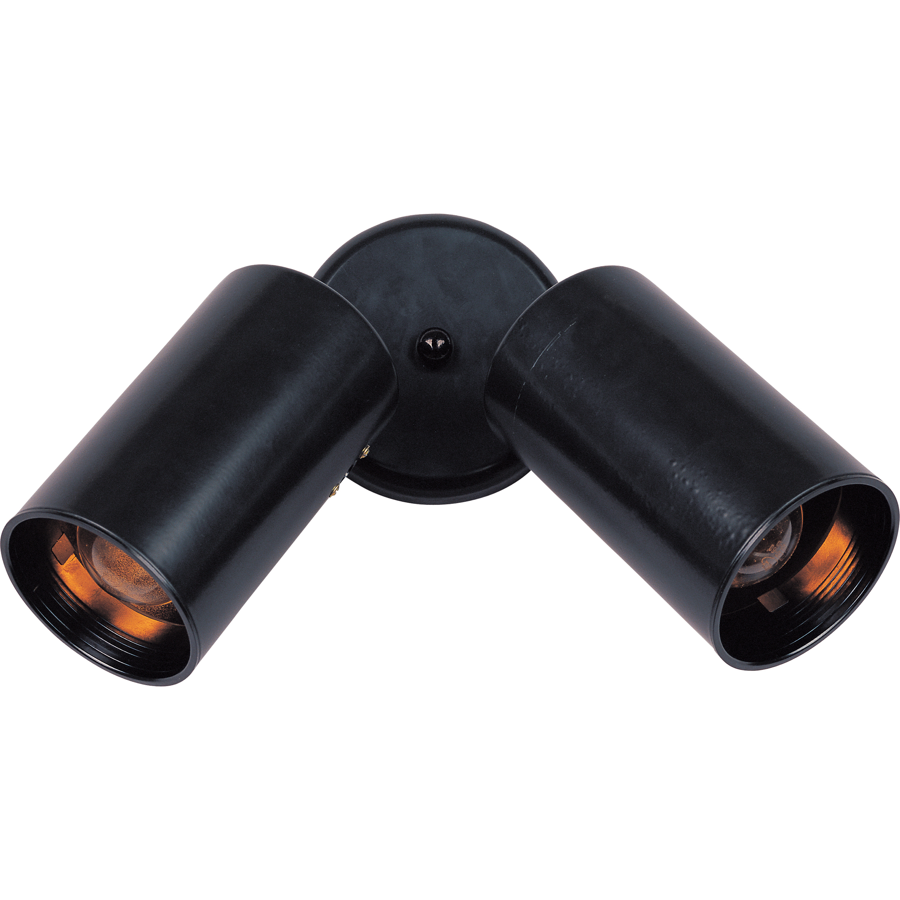 Spots 2 Light 16.5 inch Black Flush Mount Ceiling Light