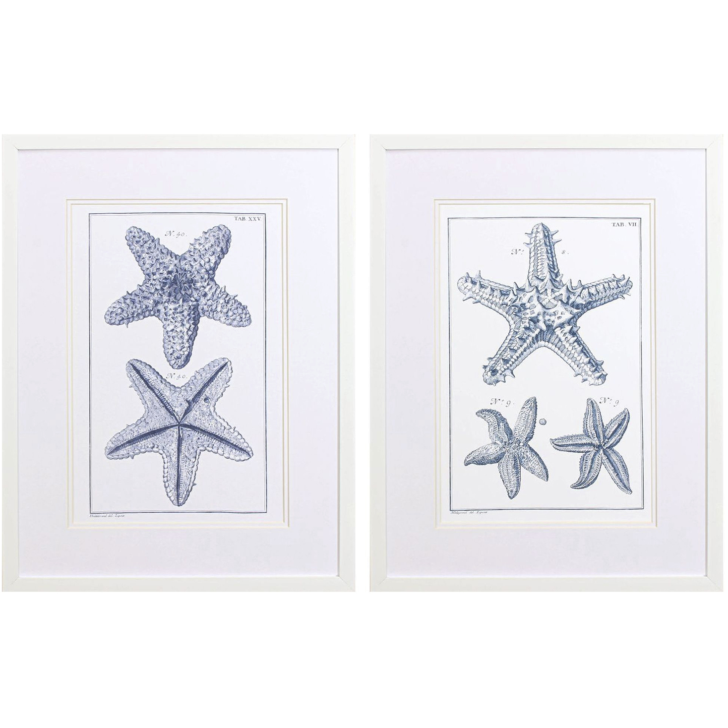 Blue Sea Stars Blue Framed Art, Propac