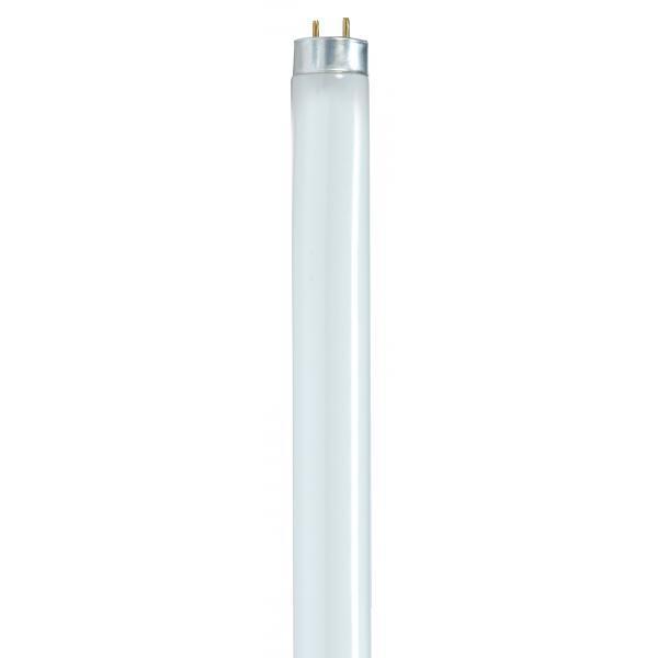 Lumos Fluorescent 25 watt 3000K Light Bulb, T8 Linear