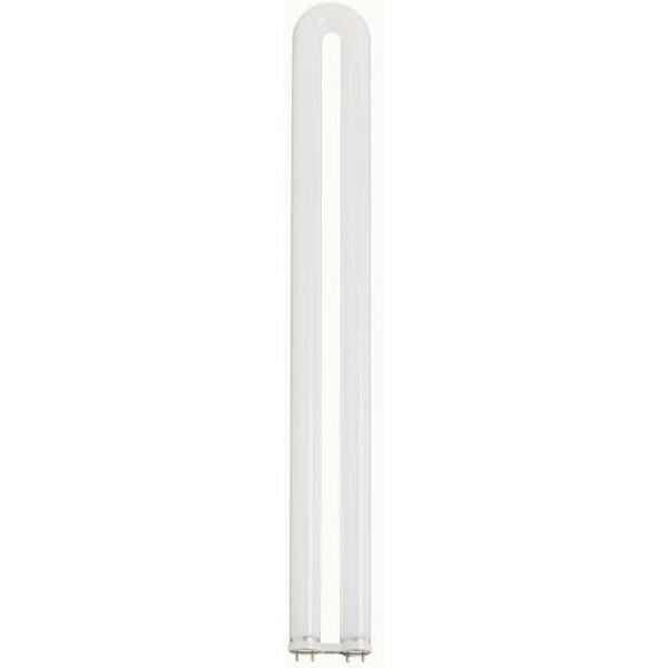 Lumos Fluorescent 31 watt 4100K Light Bulb, T8 Linear U Bend