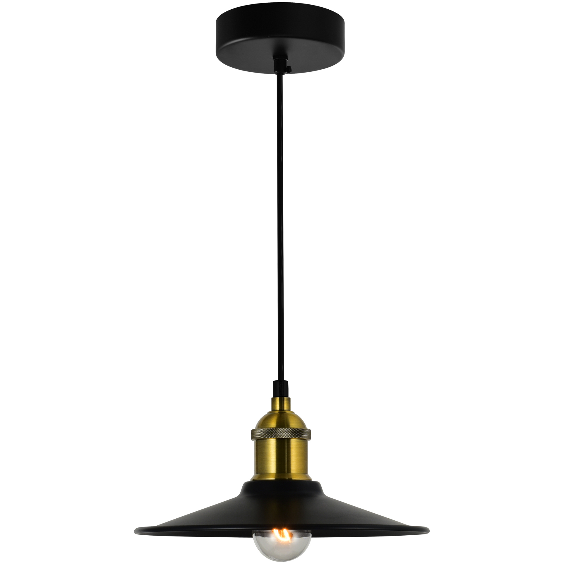 Brave 1 Light 9 inch Black Mini Pendant Ceiling Light